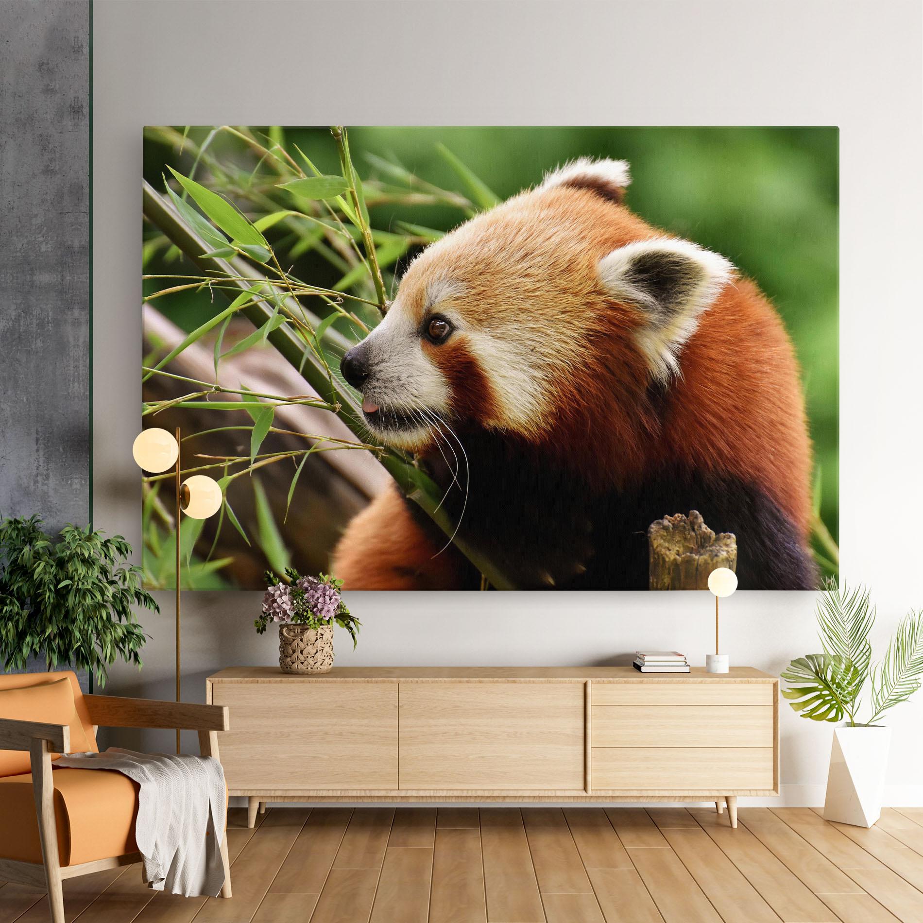 Leinwandbild Cute Red Panda mockup 9