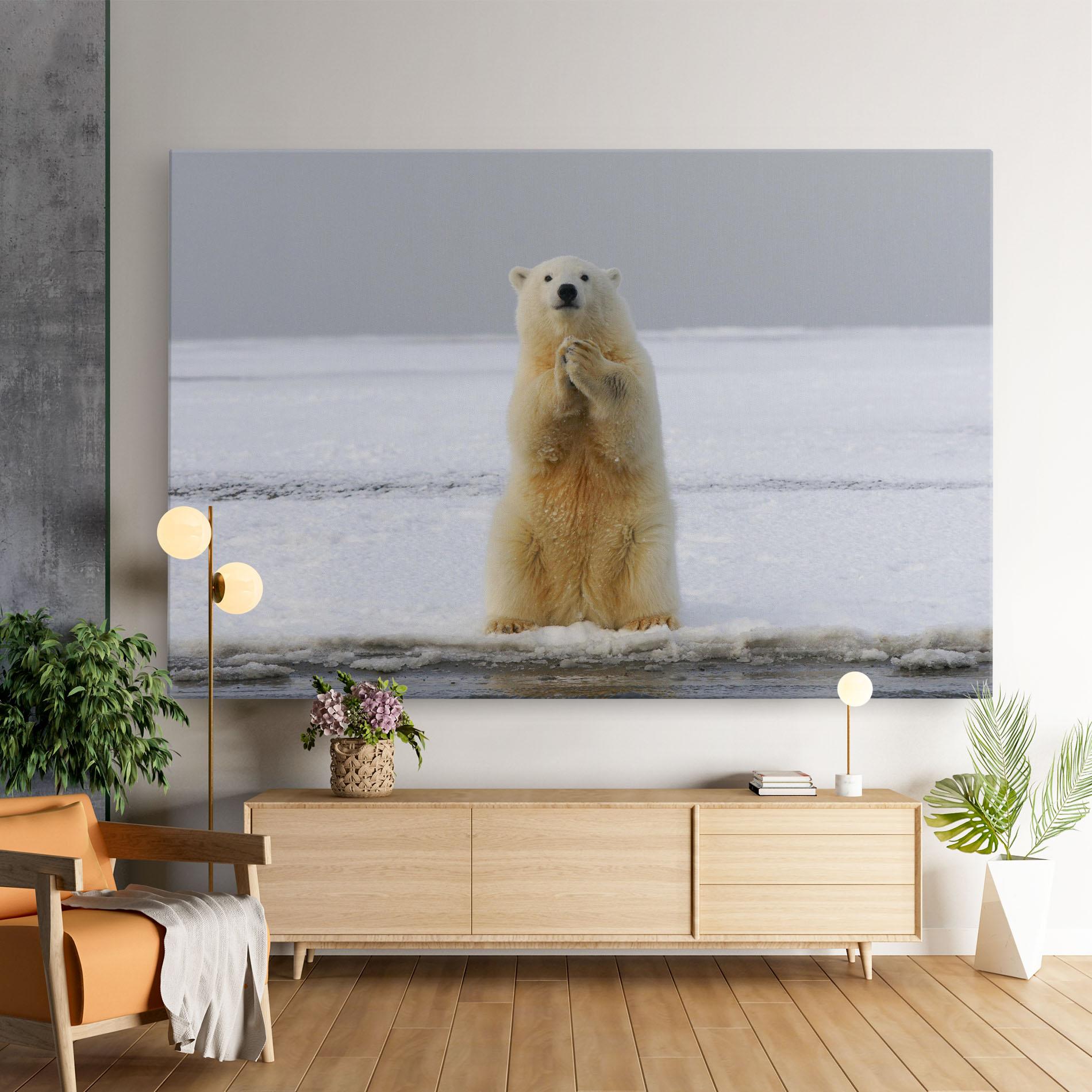 Leinwandbild Icebear Praying mockup 9