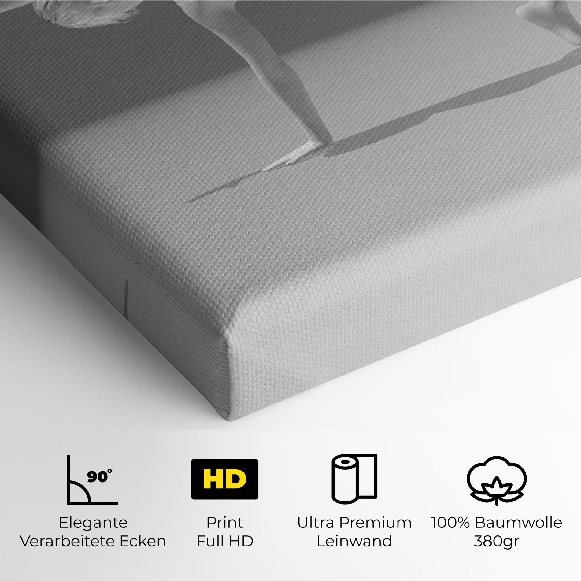 Leinwandbild 3d Gymnastic Pose mockup 4