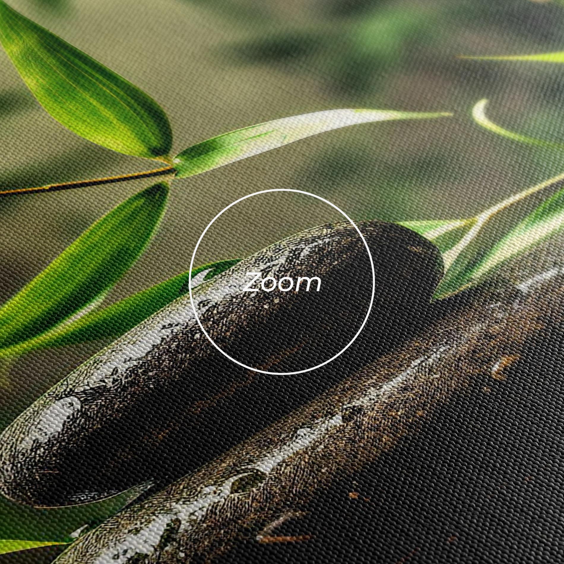 Leinwandbild Bamboo Plant Water mockup 3