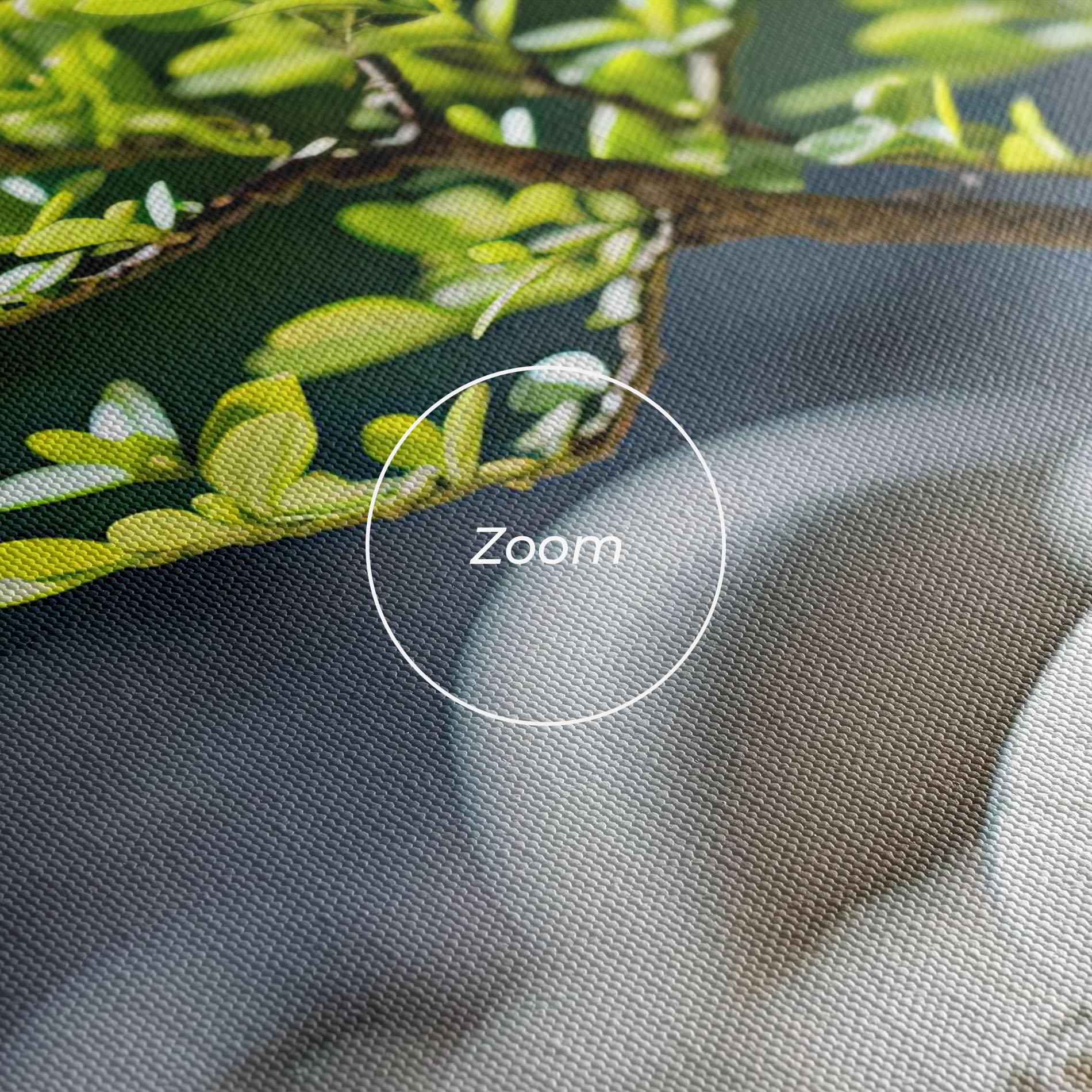 Leinwandbild White Pebbles Plants mockup 3