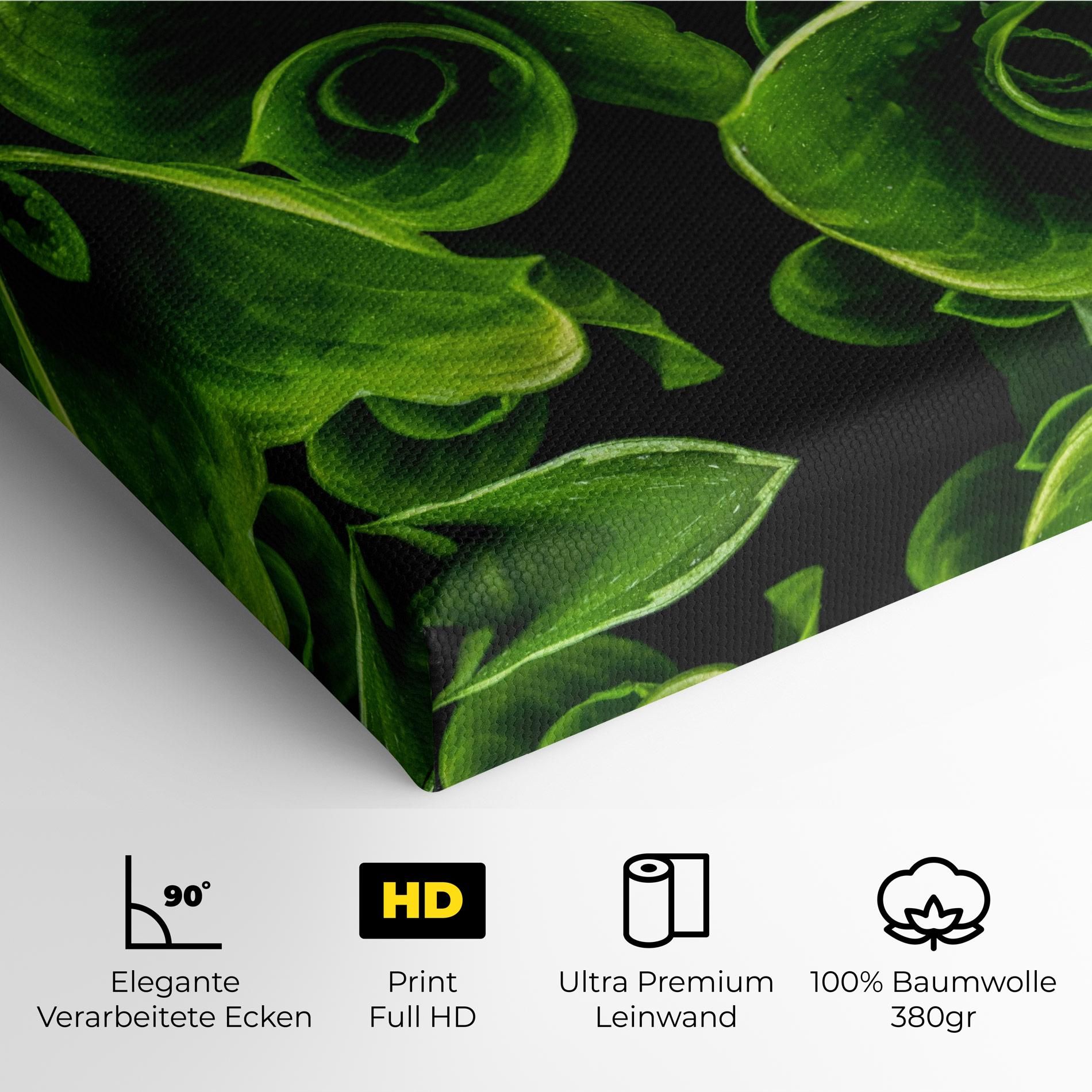 Green Nature View mockup 4