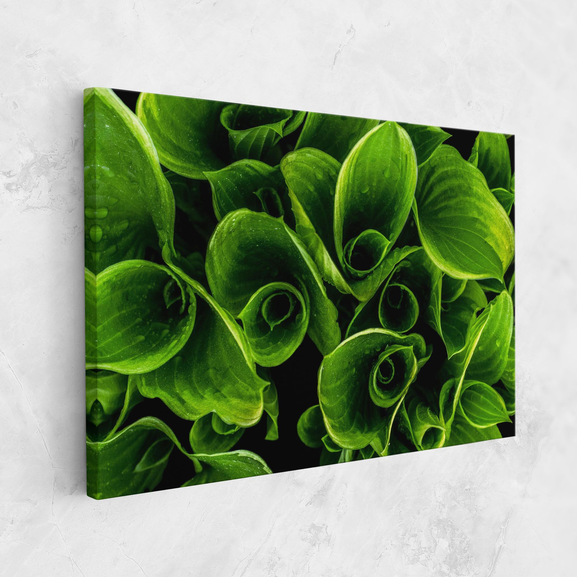 Green Nature View mockup 1