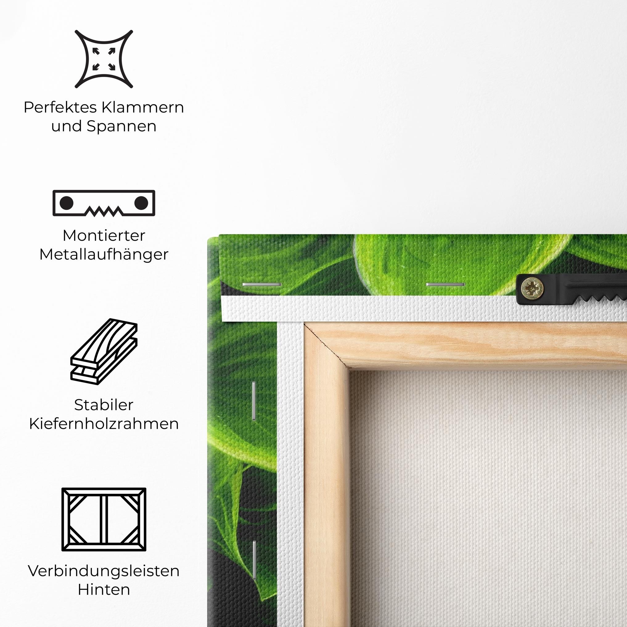 Green Nature View mockup 5