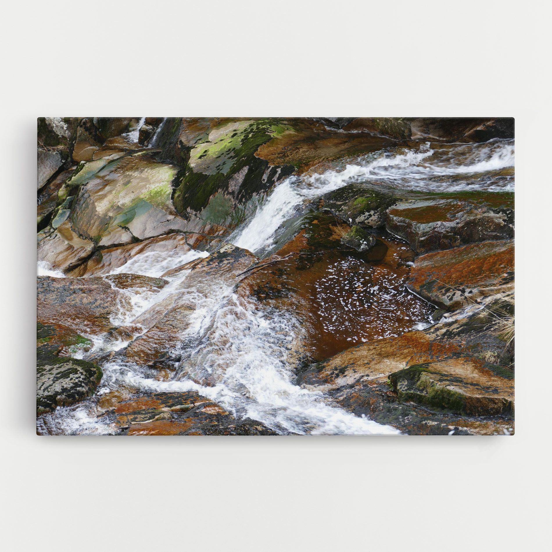 Forest Peace mockup 0