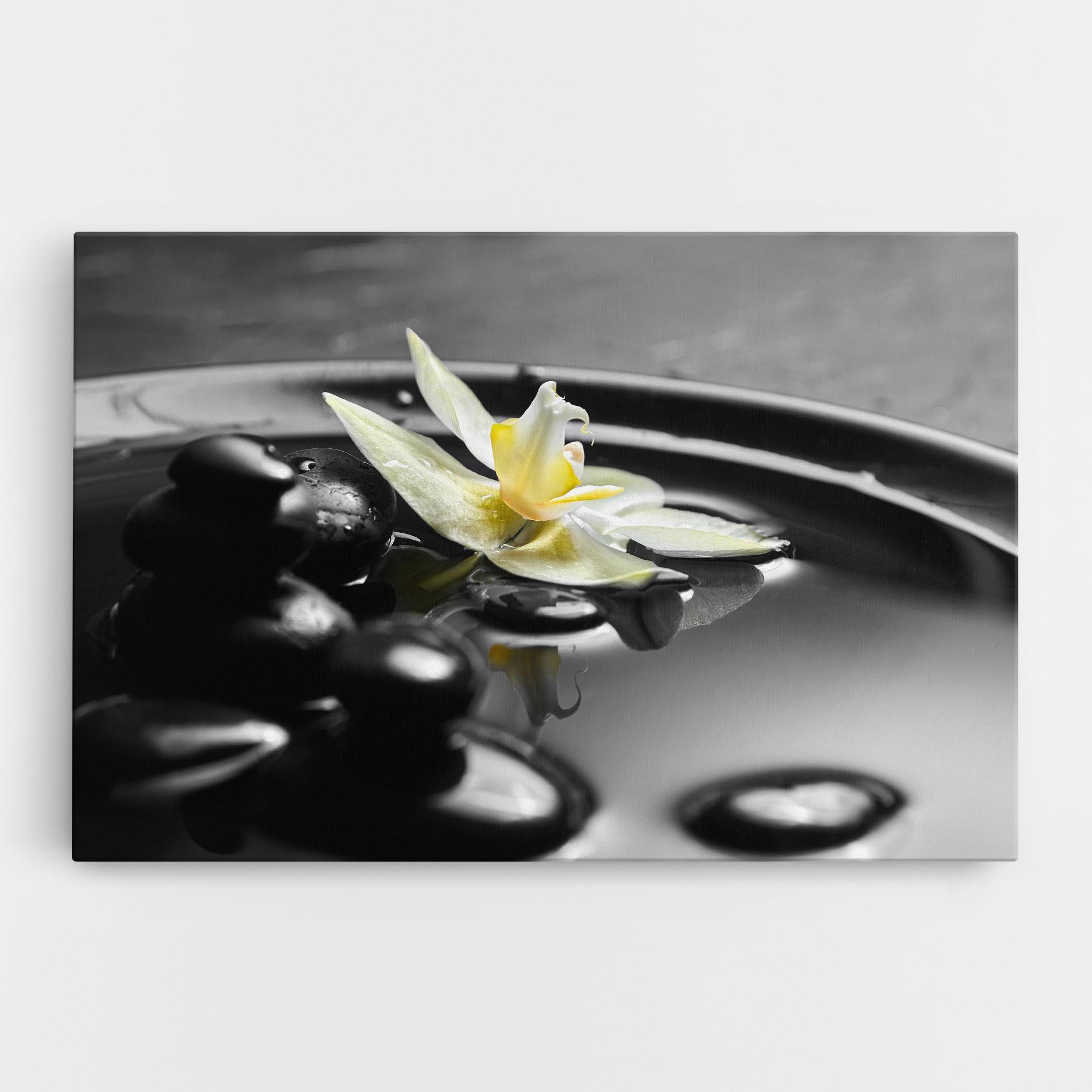 Leinwandbild Pebbles Yellow Flower mockup 0