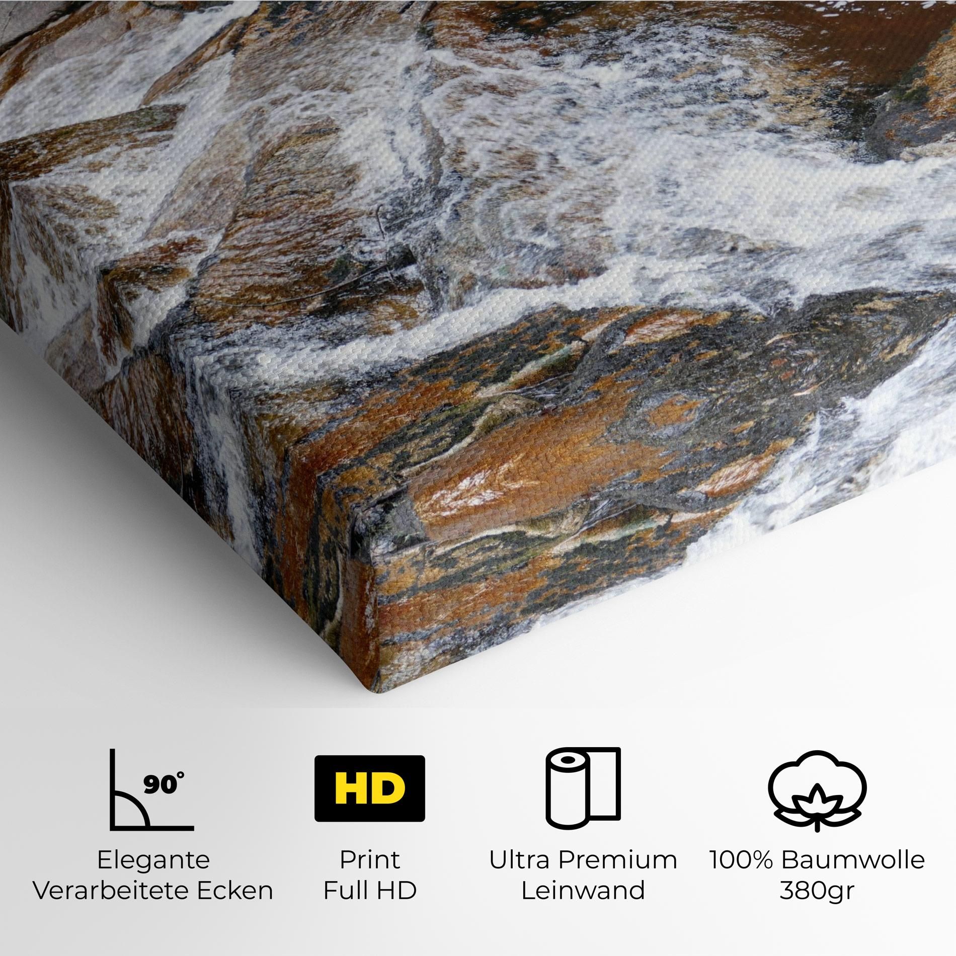 Forest Peace mockup 4