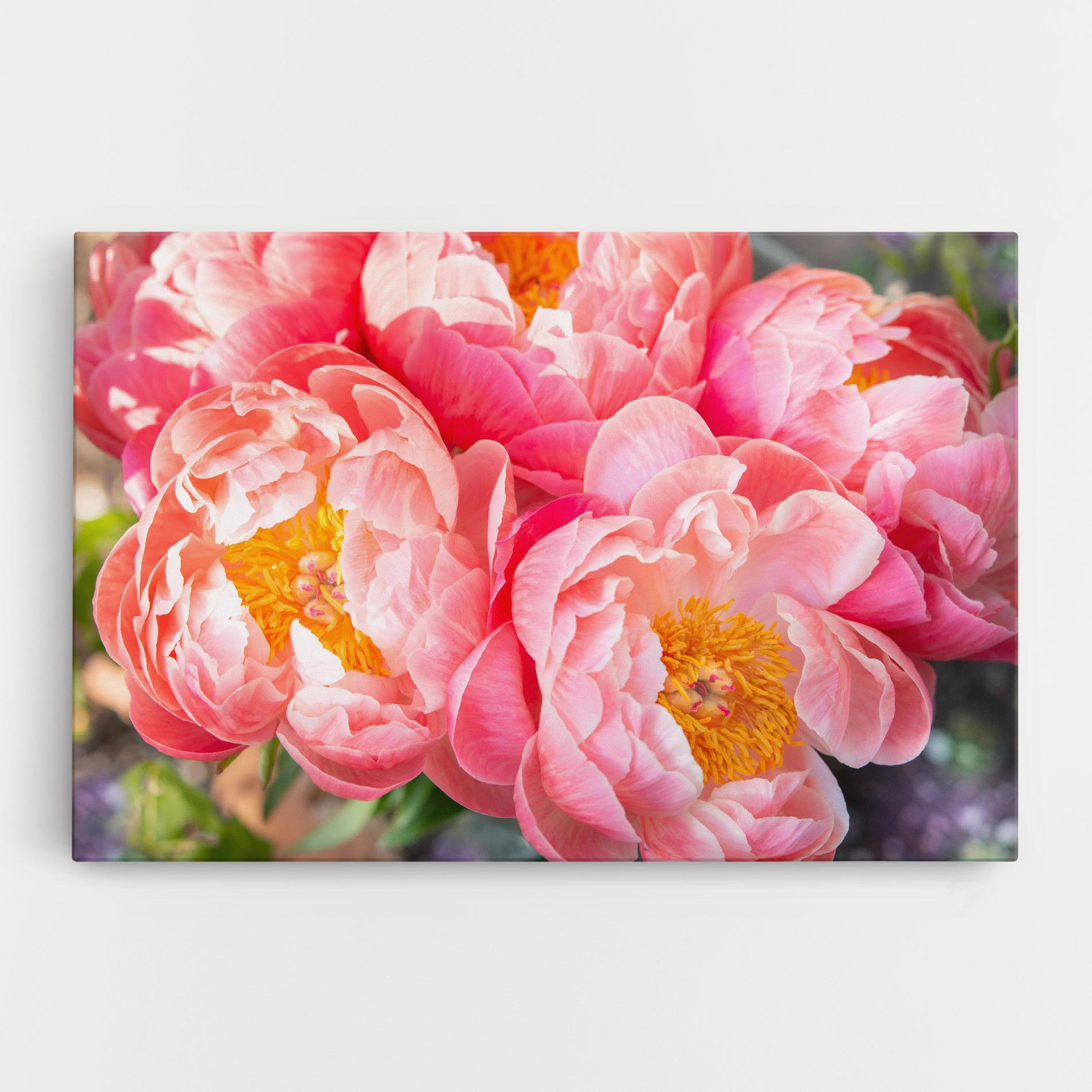 Leinwandbild Opened Peonies Bouquet mockup 0