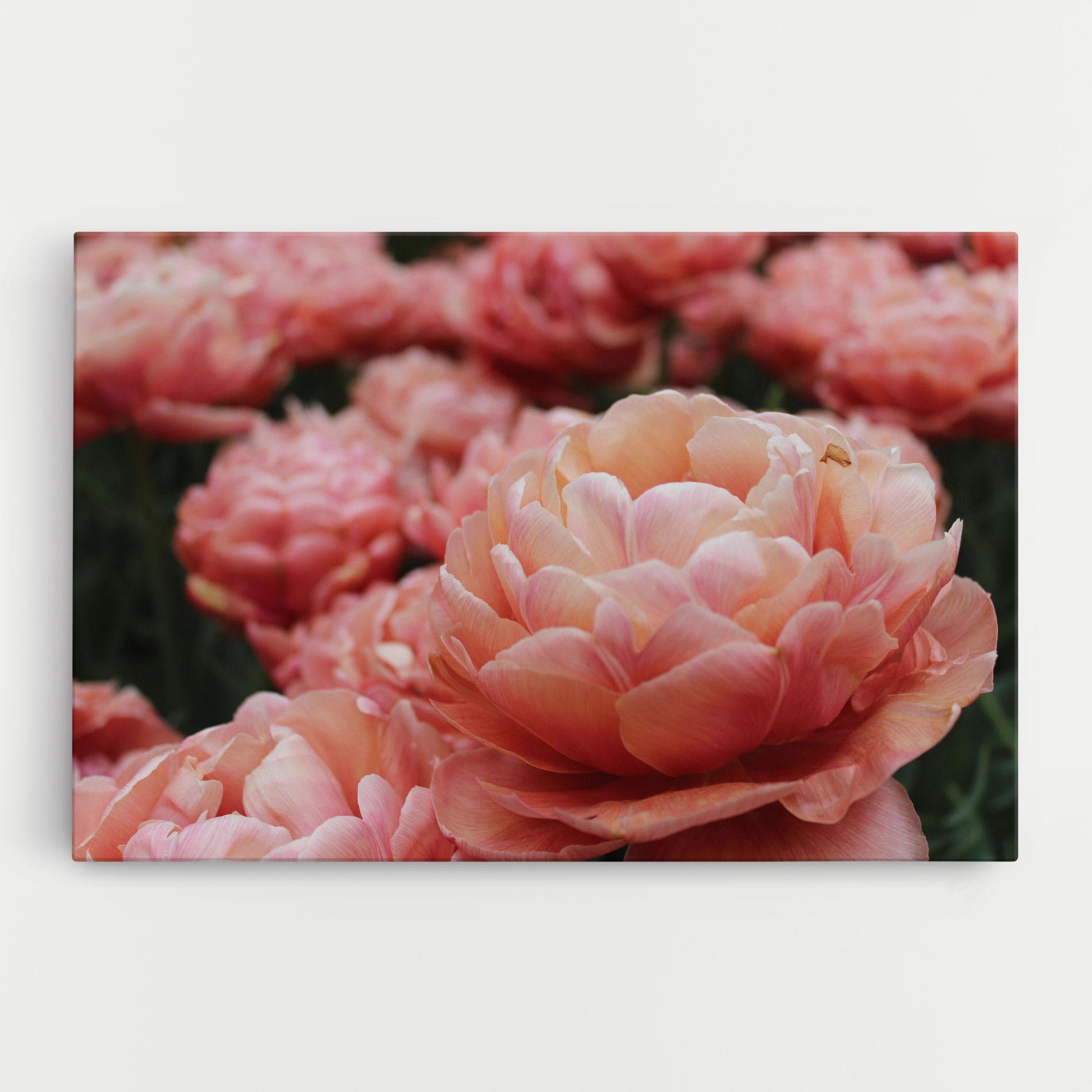 Leinwandbild Light Orange Peony mockup 0