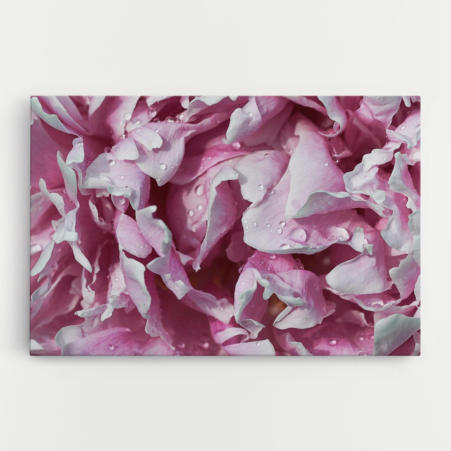 Leinwandbild Peony Petals mockup 0