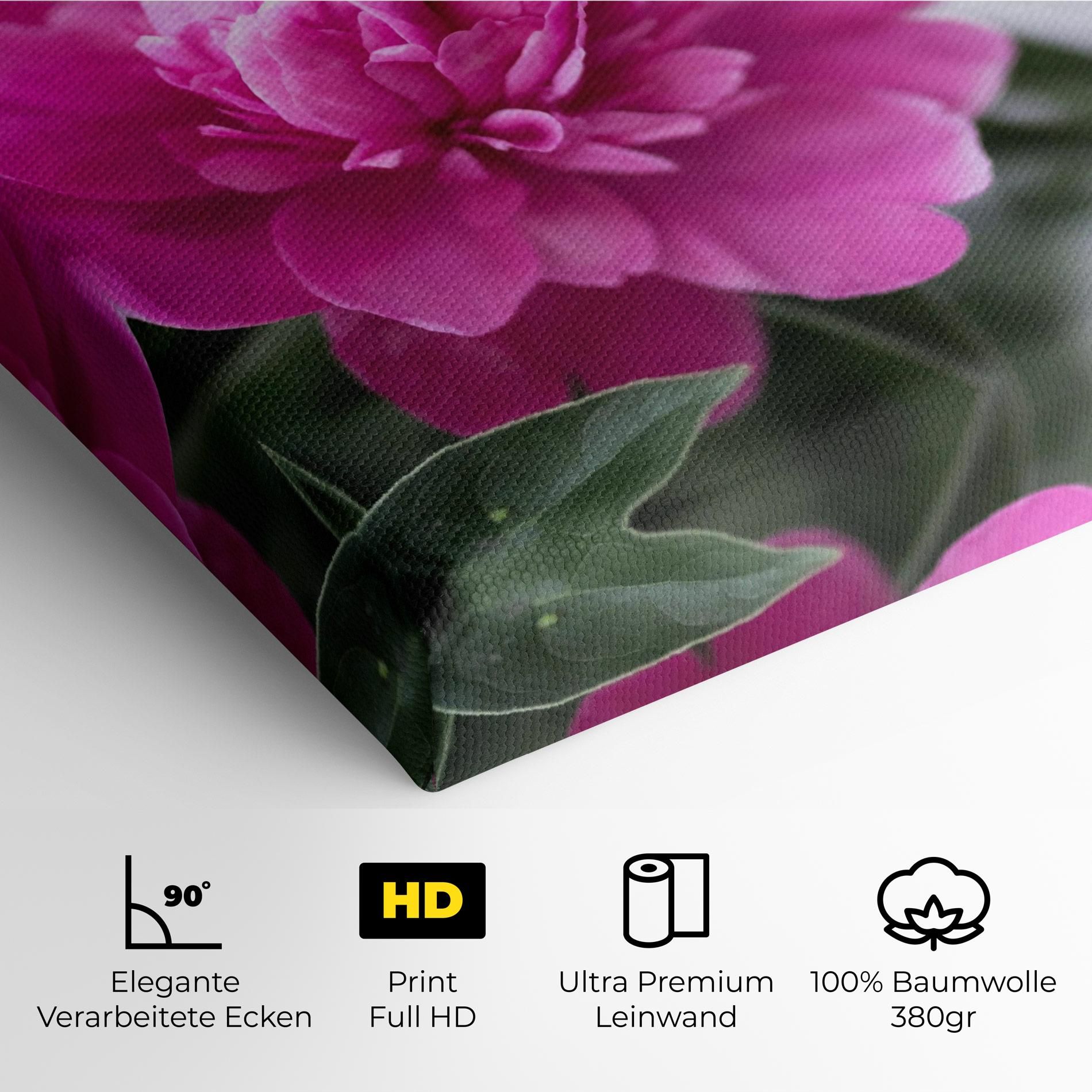 Dark Pink Peony mockup 4