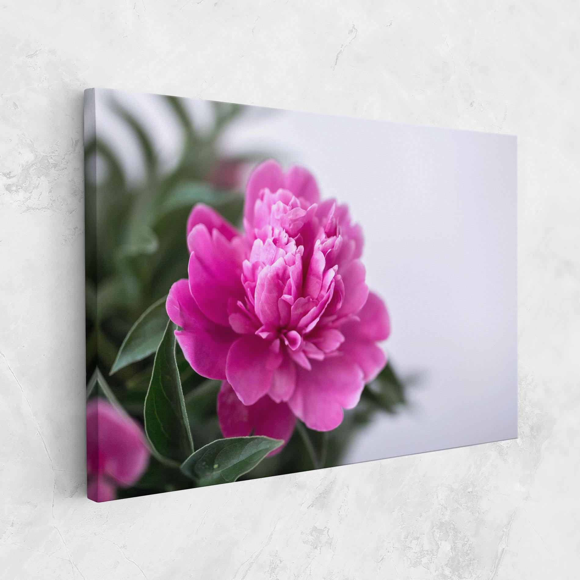 Leinwandbild Dark Pink Peony mockup 1