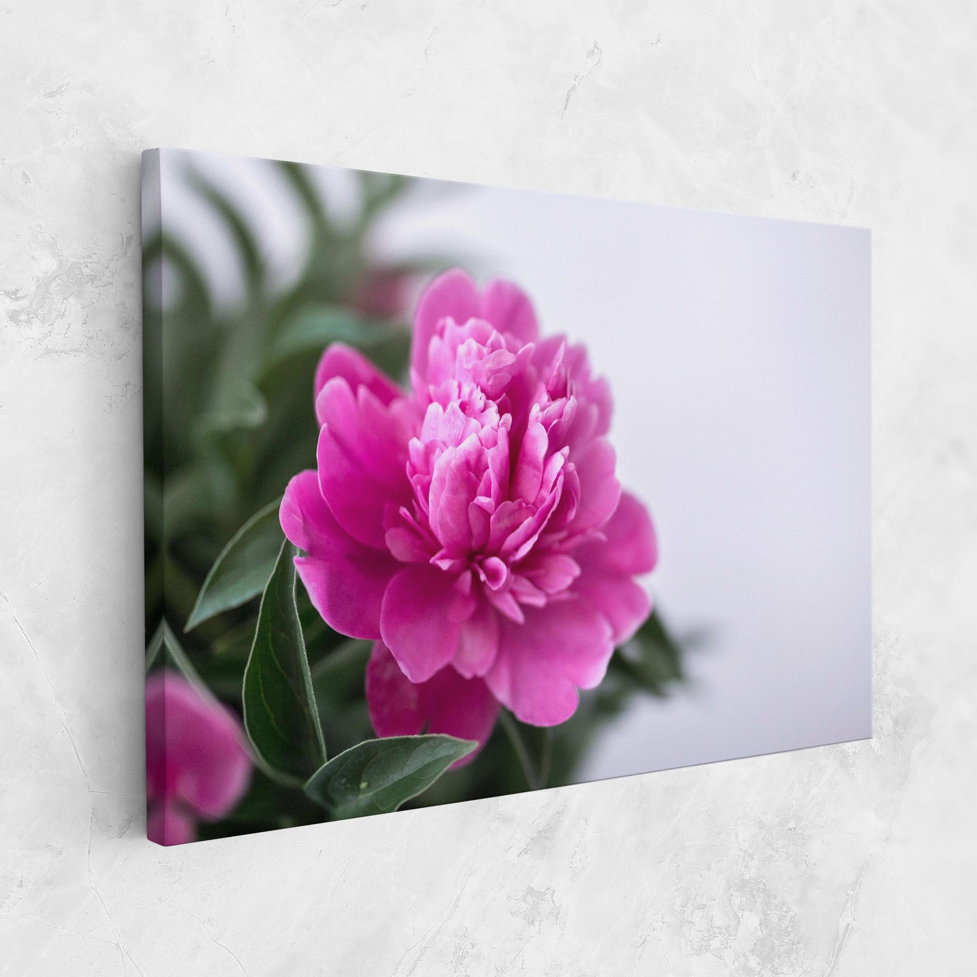 Dark Pink Peony mockup 1
