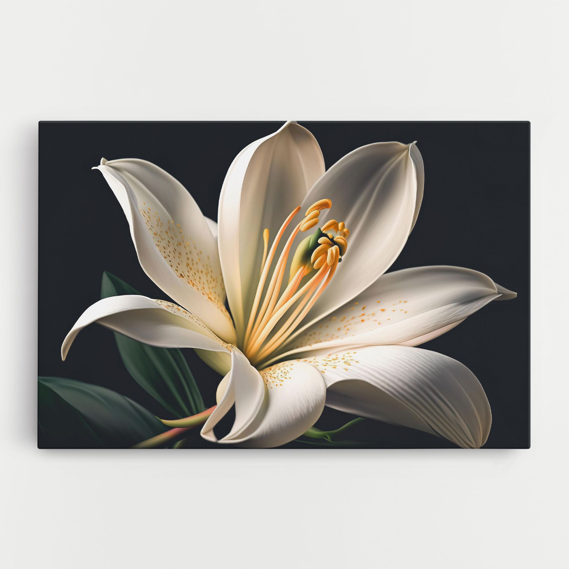 Big Lily View mockup 0