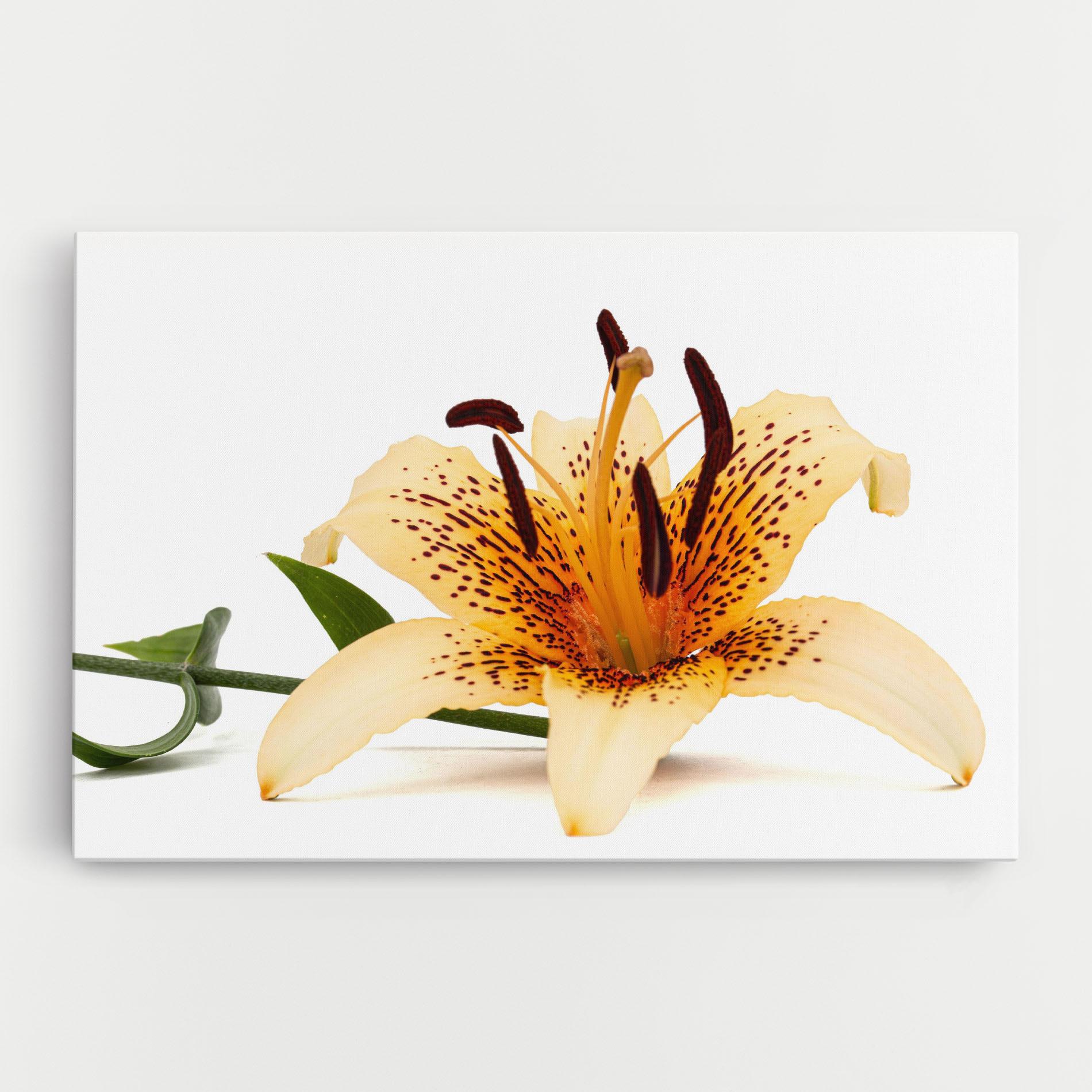 Leinwandbild Big Yellow Lily mockup 0