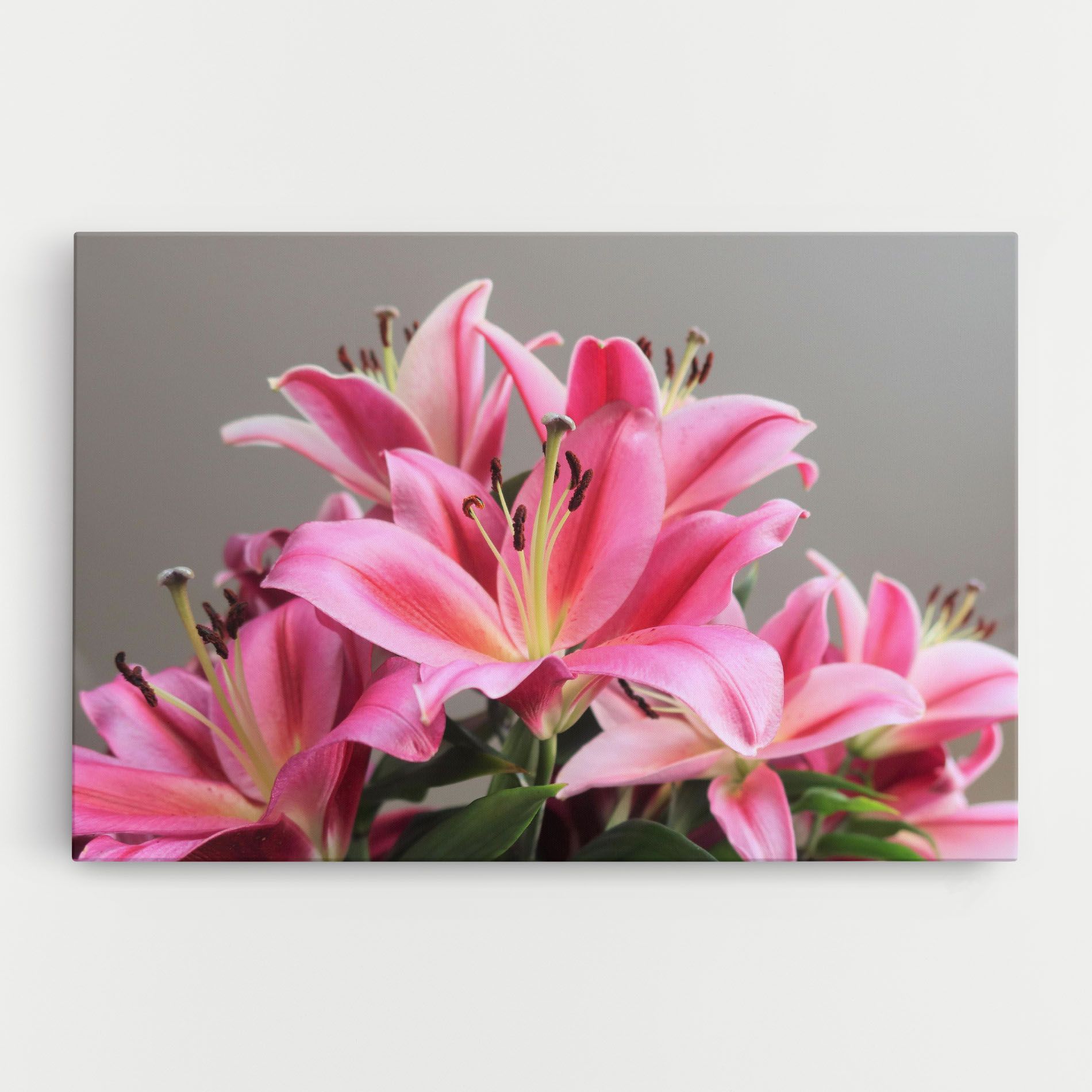 Light Pink Lily View mockup 0