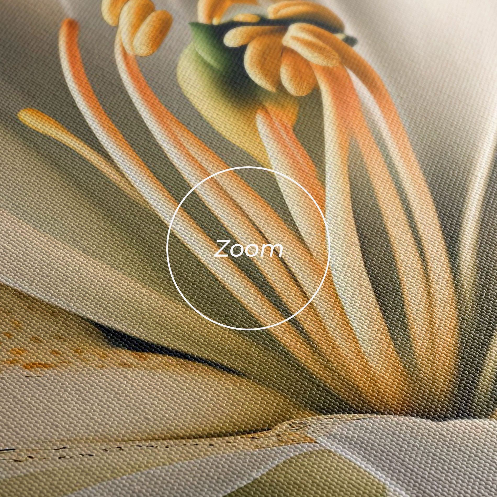 Big Lily View mockup 3