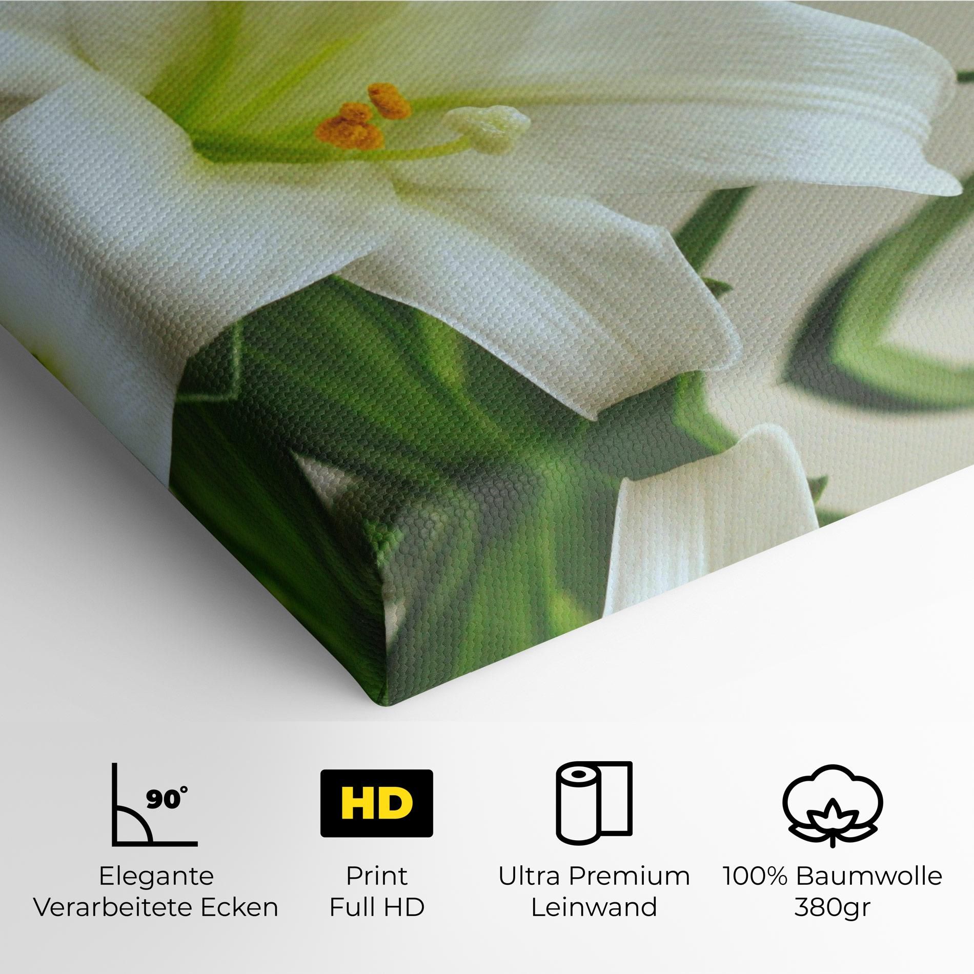 Green Lily mockup 4