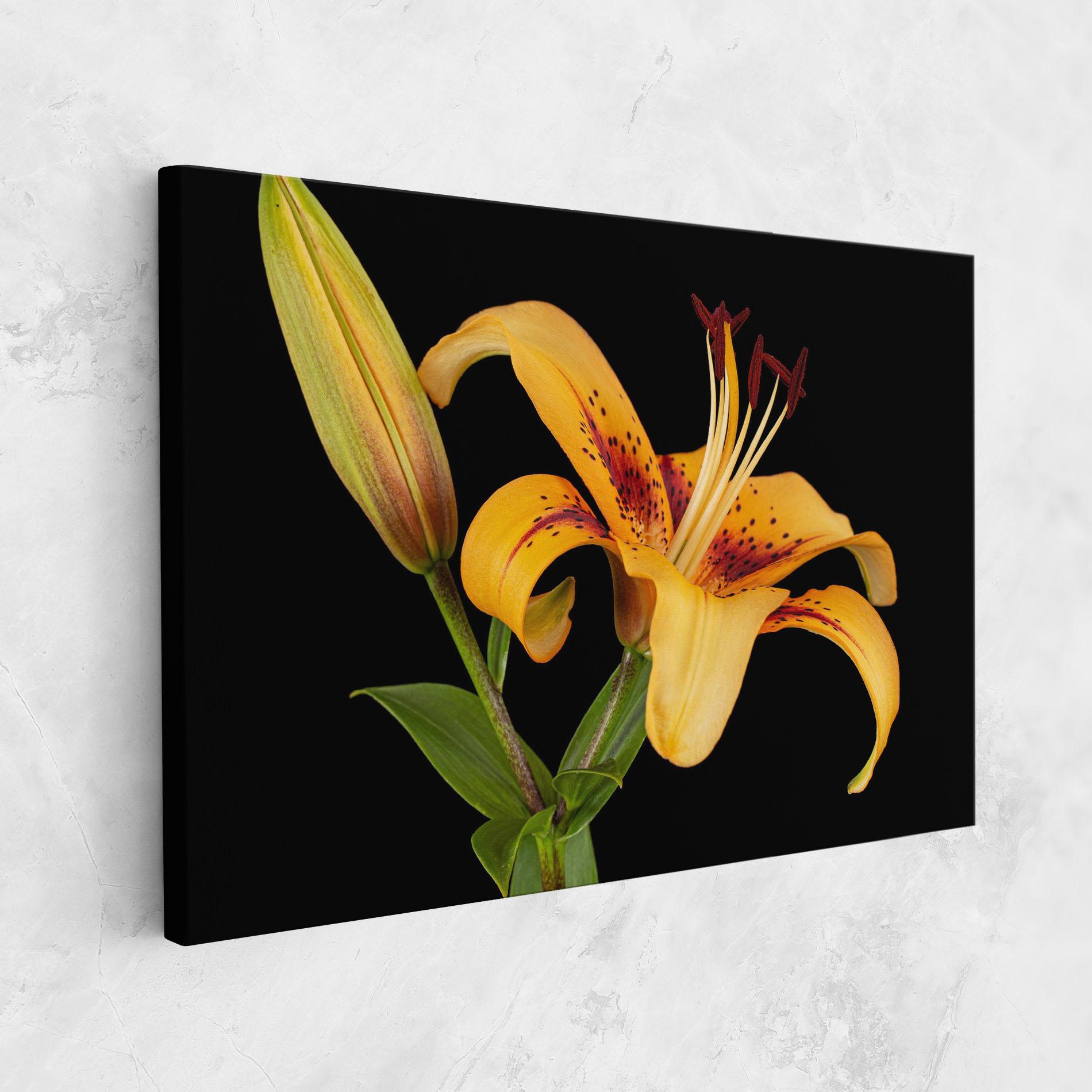 Leinwandbild Beautiful Yellow Lily mockup 1