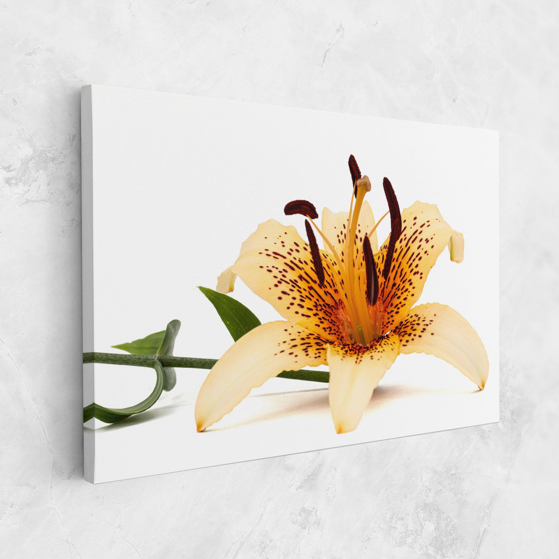 Leinwandbild Big Yellow Lily mockup 1