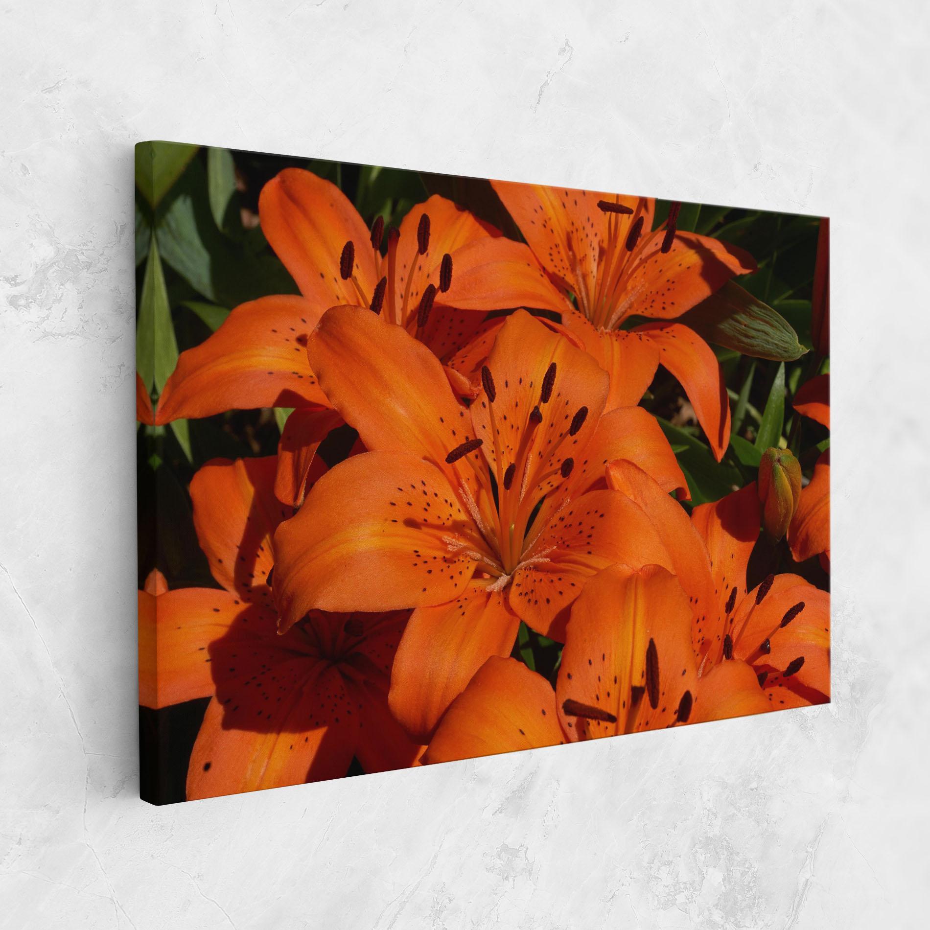 Leinwandbild Orange Lily In The Sun mockup 1