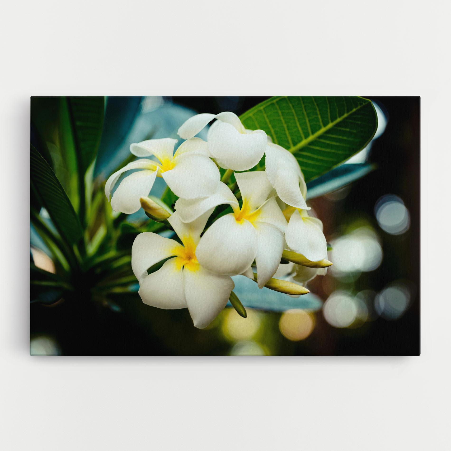 Leinwandbild Beautiful White Exotic mockup 0