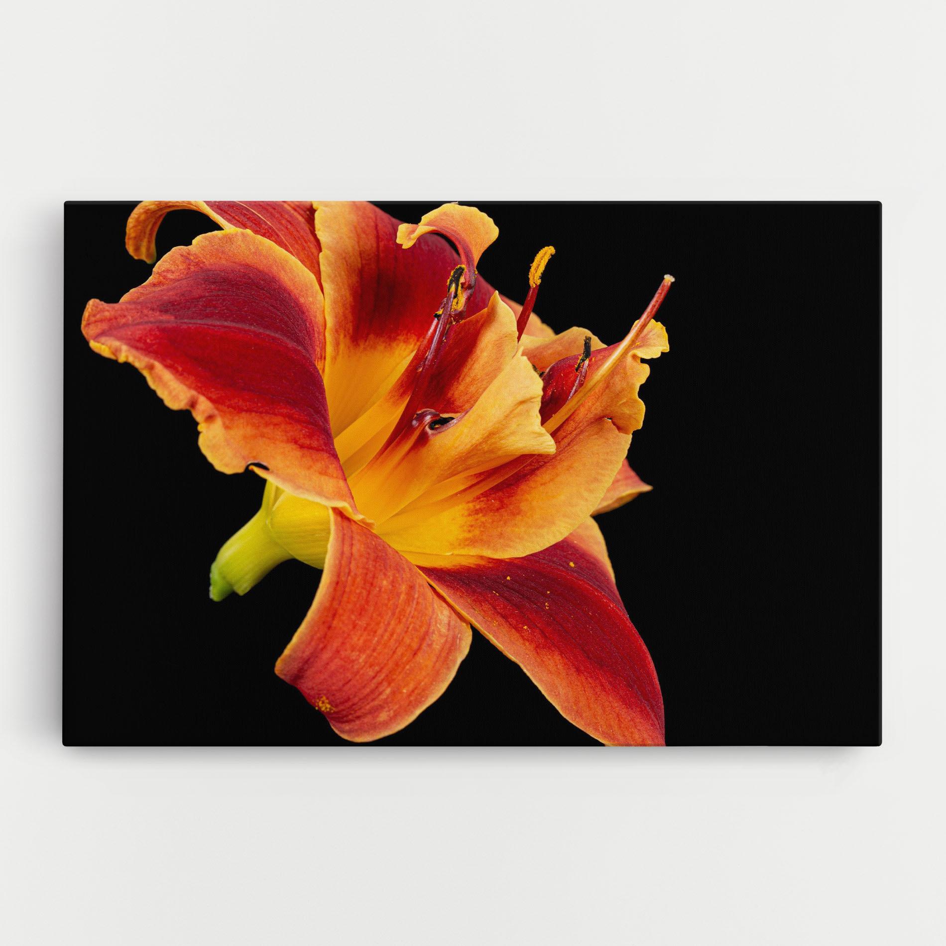 Leinwandbild Exotic Orange Red mockup 0