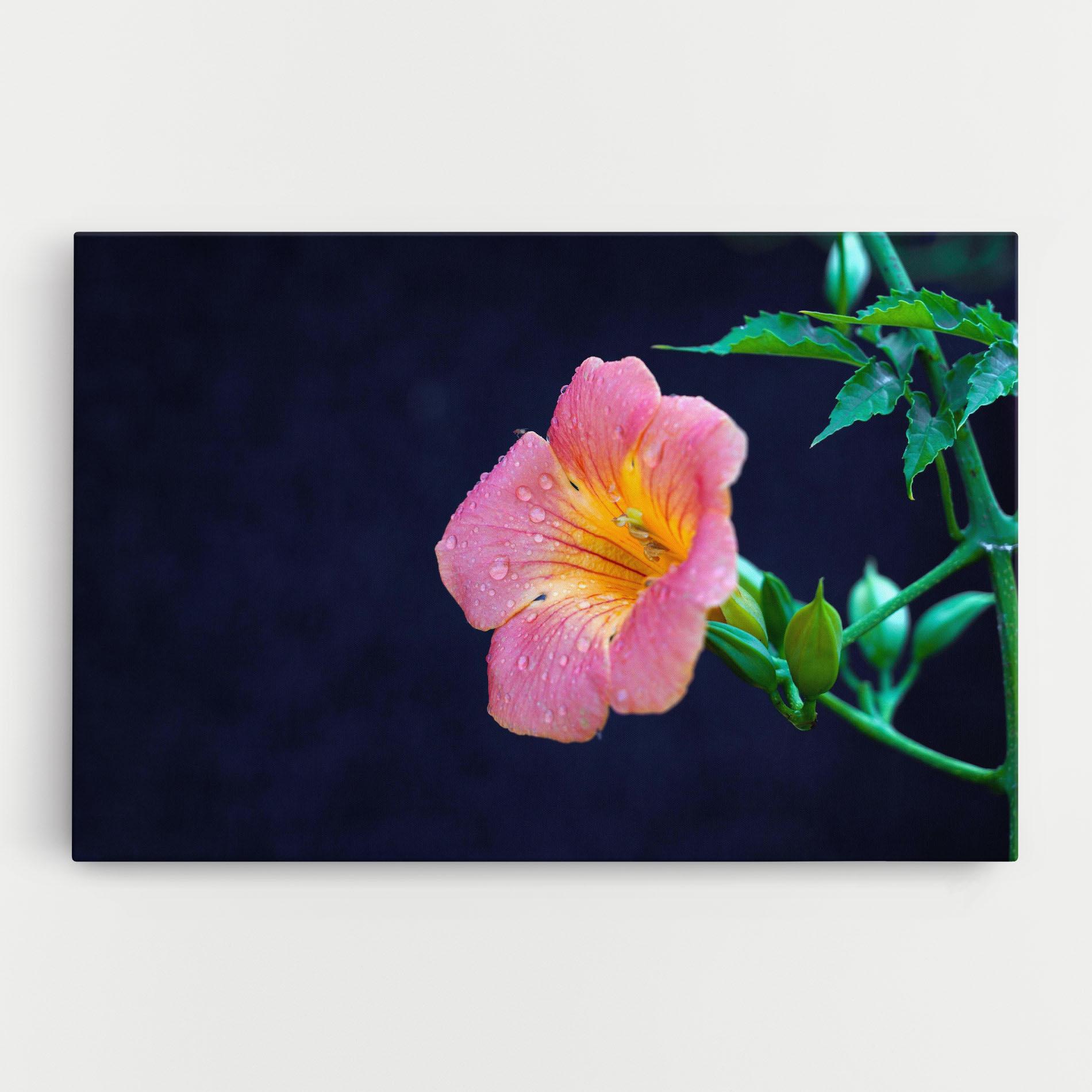 Leinwandbild Exotic Pink Plant mockup 0