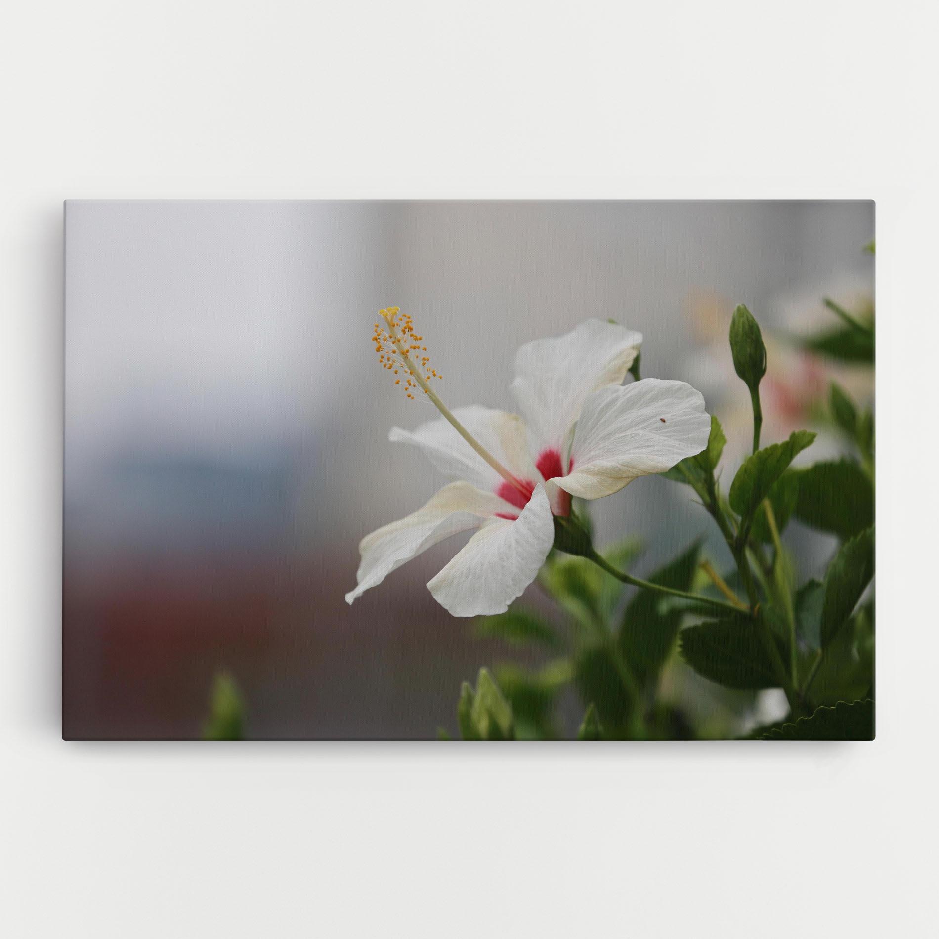 Leinwandbild Exotic White Flower mockup 0