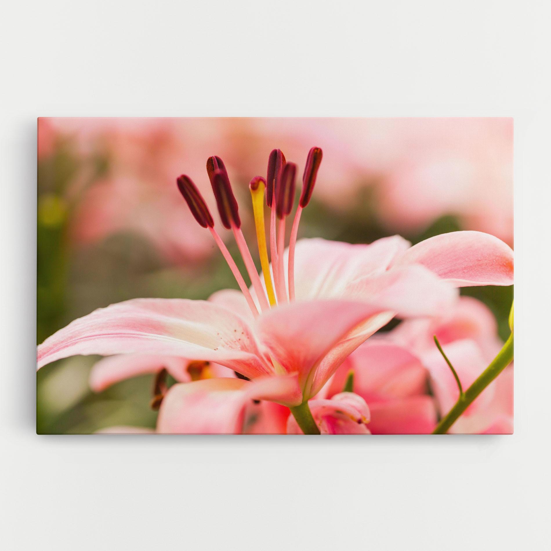 Leinwandbild Flower mockup 0