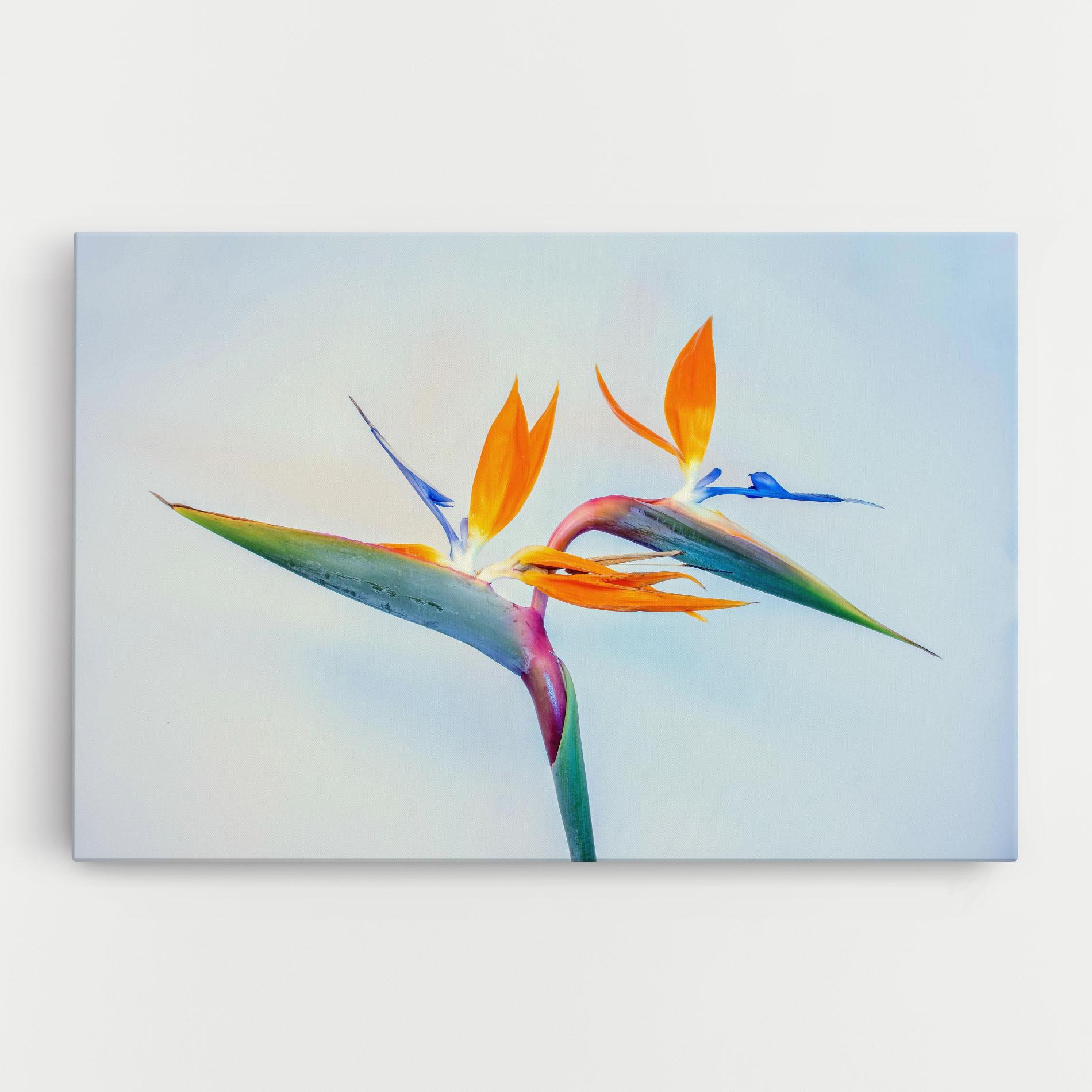 Leinwandbild Green Orange Exotic mockup 0