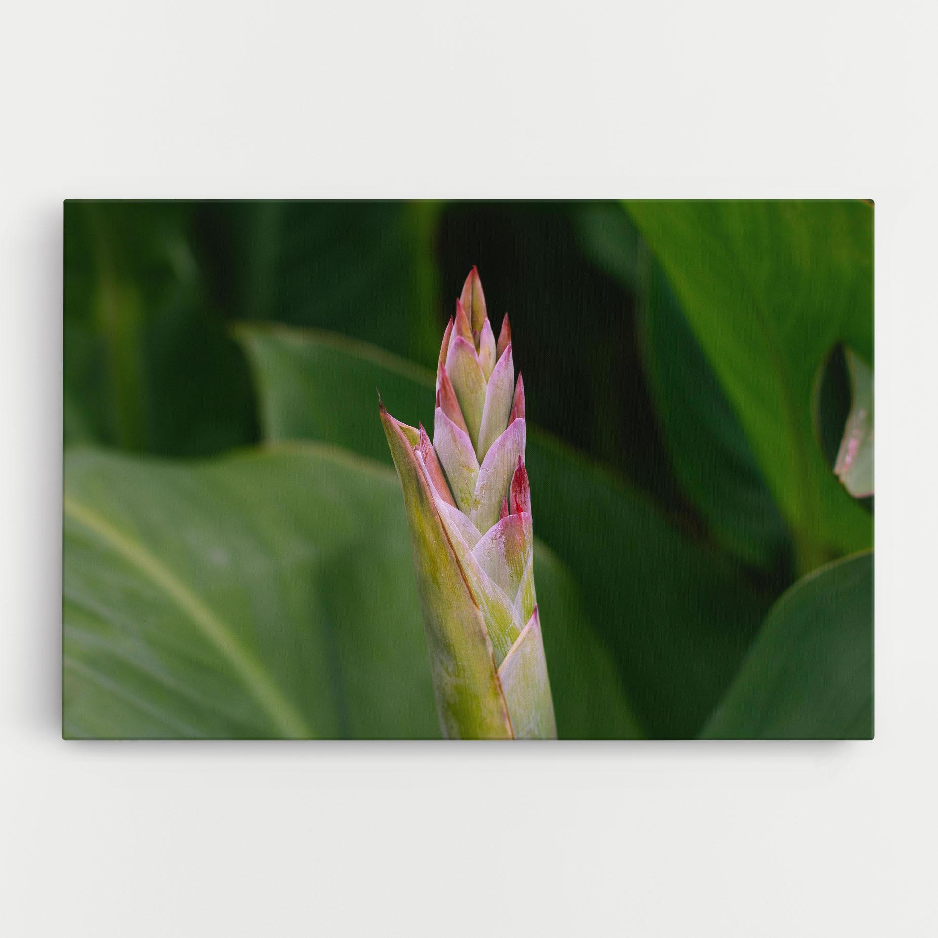 Leinwandbild Light Pink Exotic mockup 0