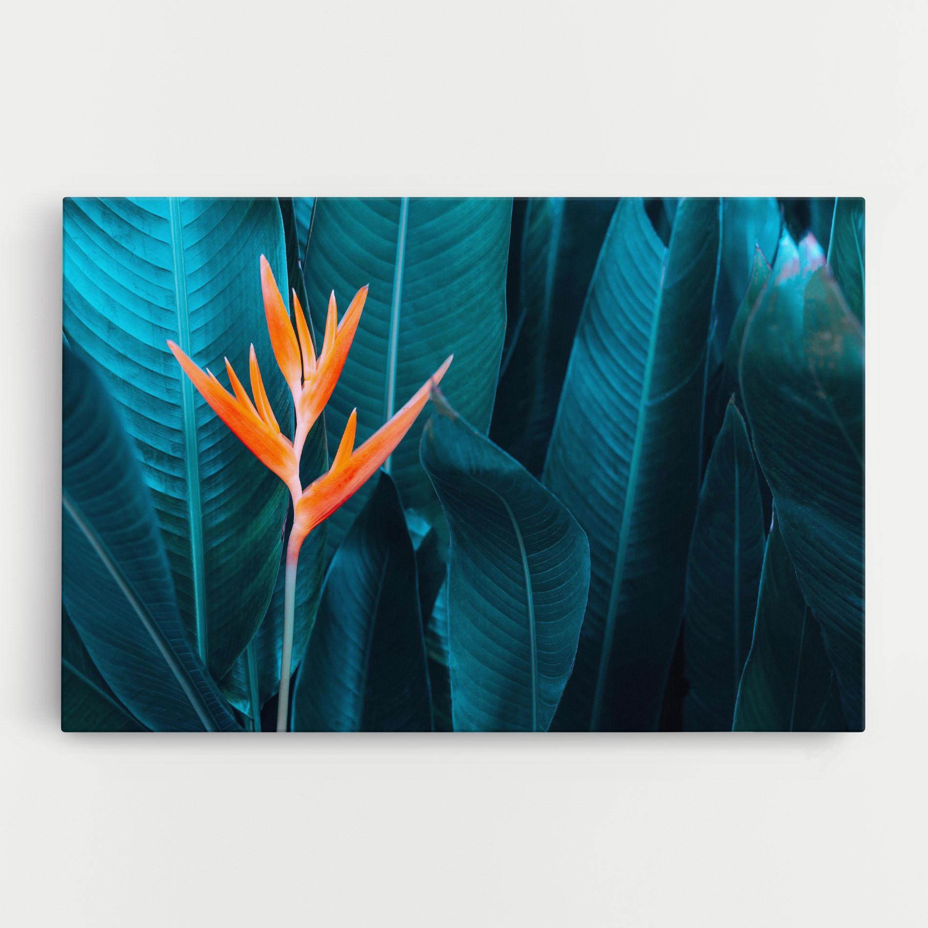 Leinwandbild Orange Green Exotic mockup 0