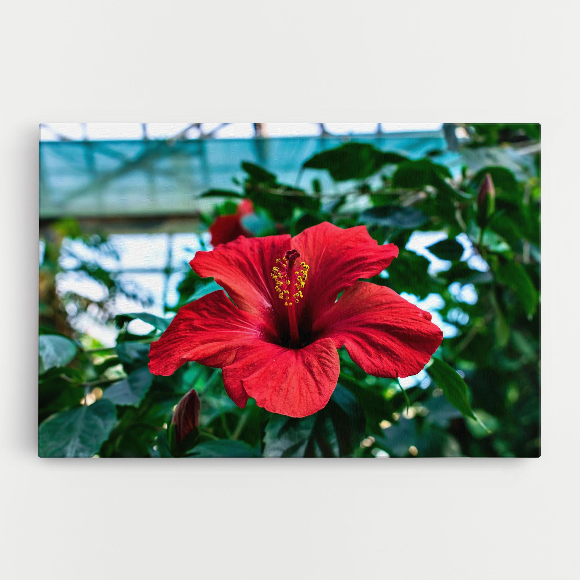 Leinwandbild Red Exotic Plant mockup 0