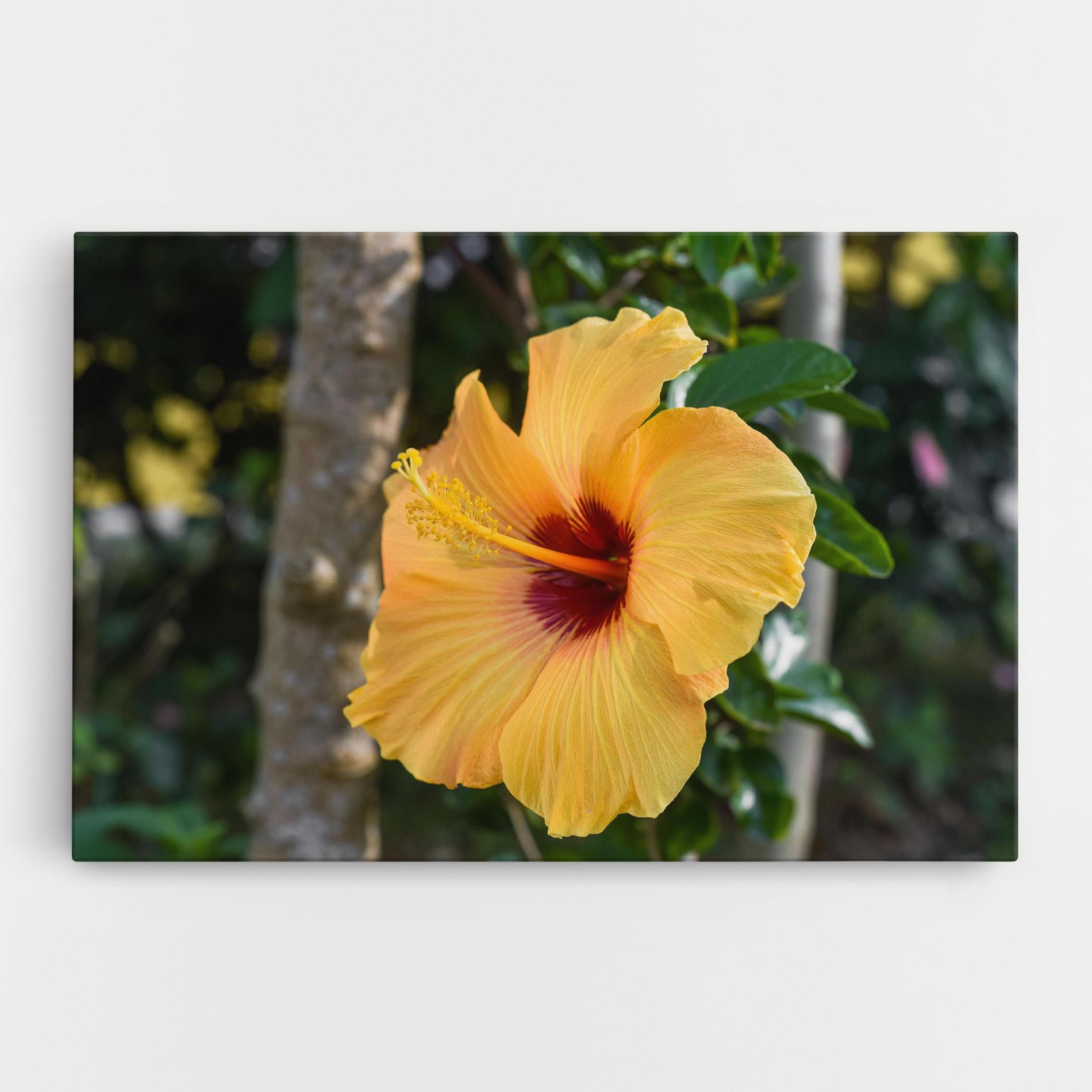 Leinwandbild Yellow Hibiscus mockup 0