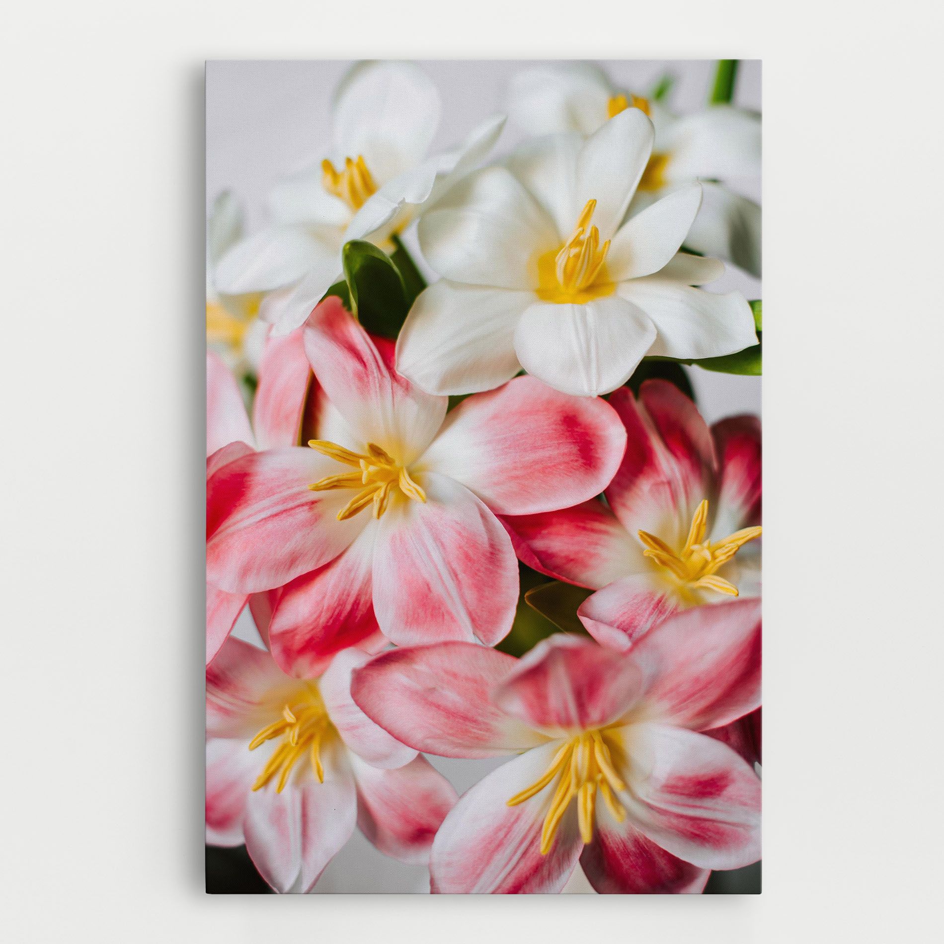 Beautiful Exotic Flower mockup 0