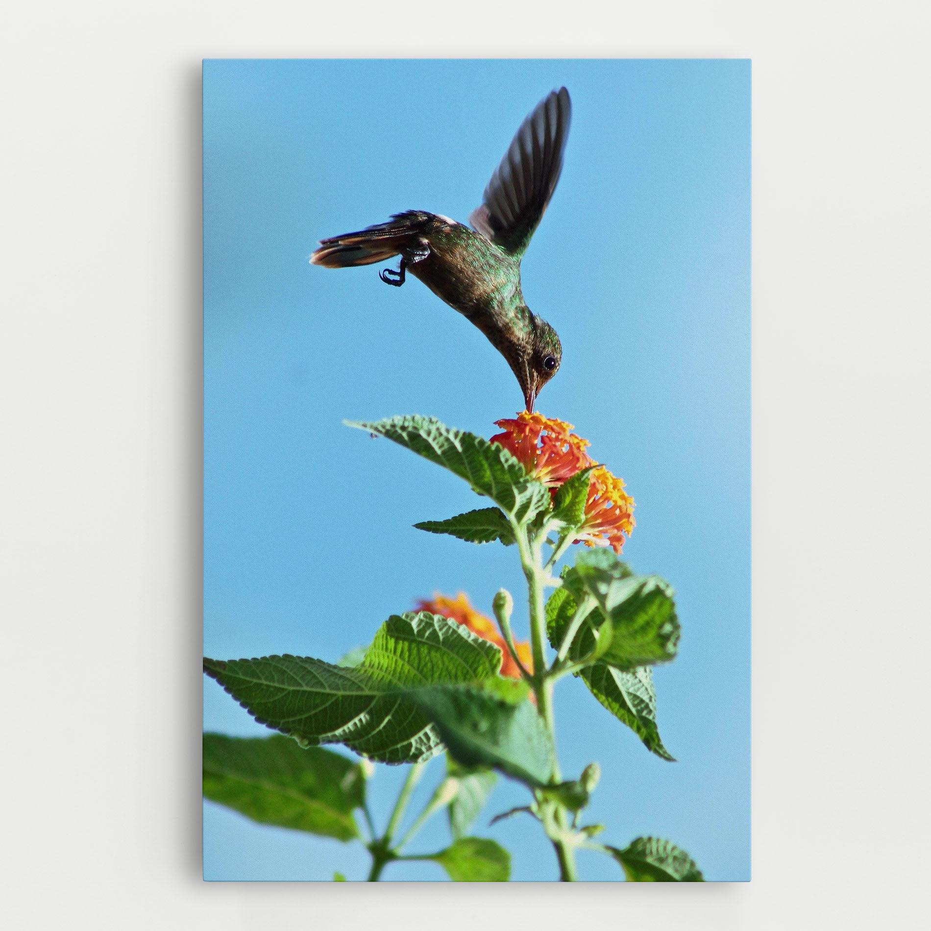 Leinwandbild Bird Exotic Flower mockup 0
