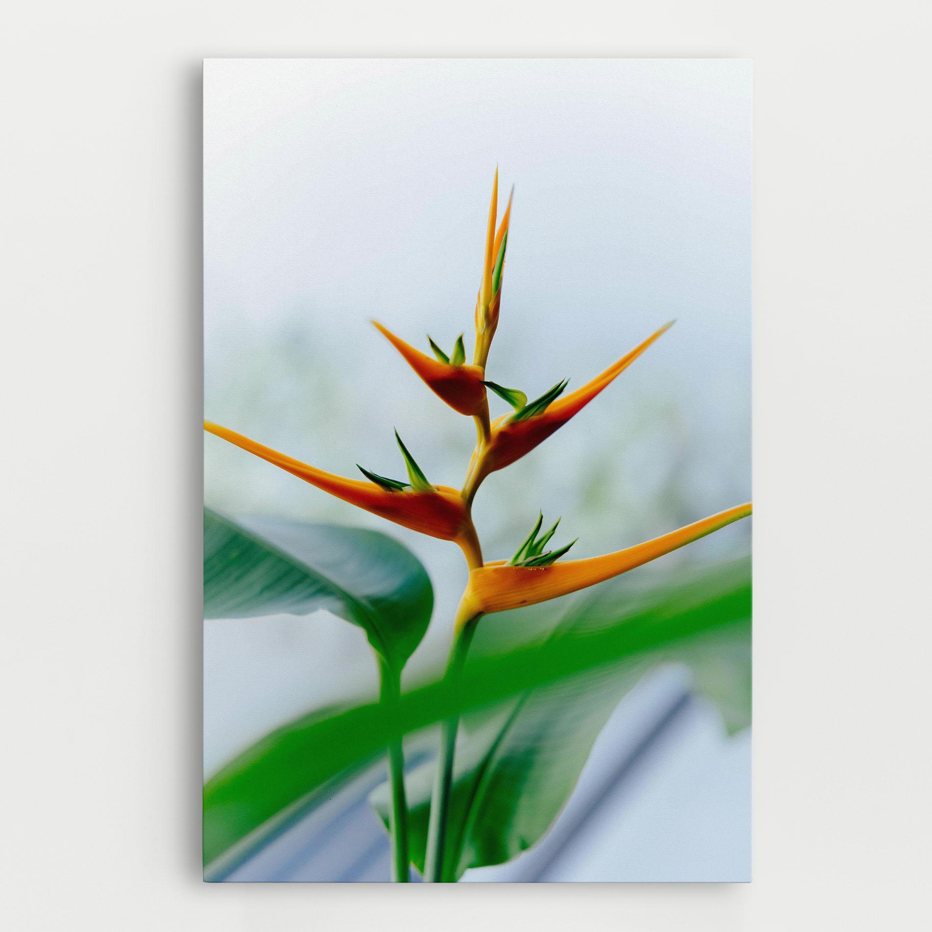 Leinwandbild Exotic Orange Green mockup 0