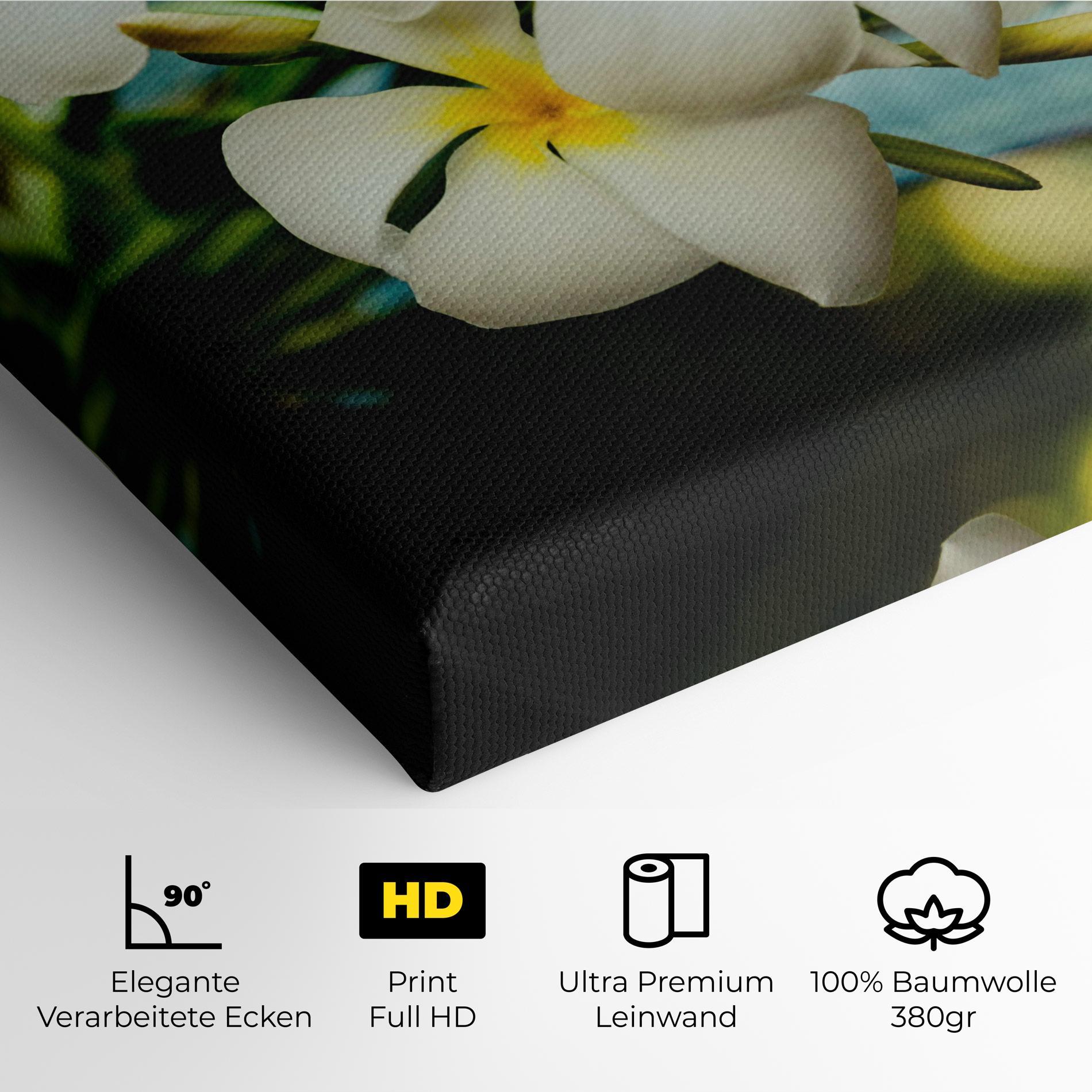 Leinwandbild Beautiful White Exotic mockup 4