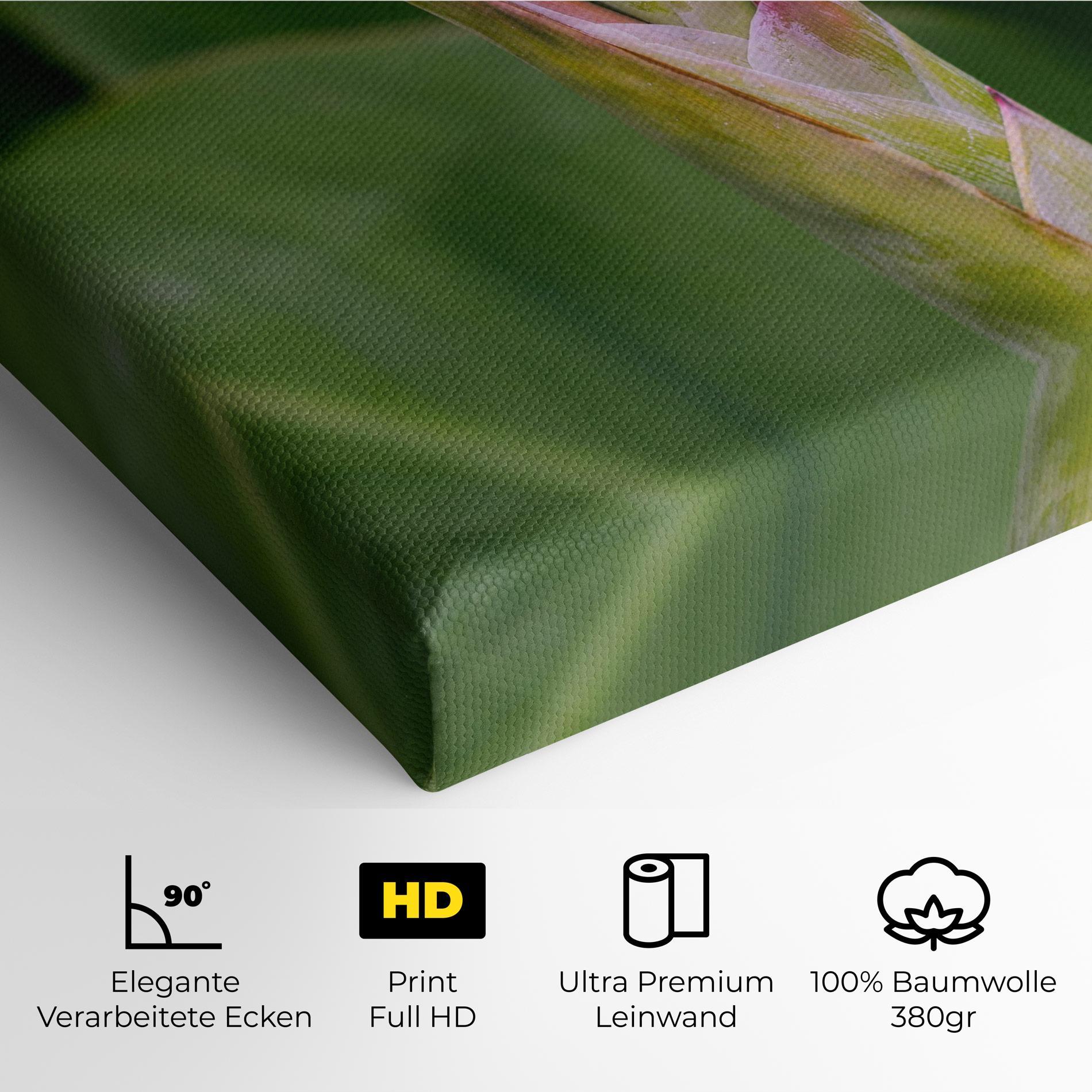 Leinwandbild Light Pink Exotic mockup 4