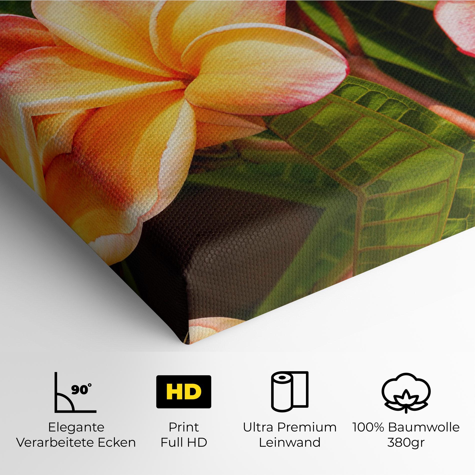 Leinwandbild Pretty Plumeria mockup 4