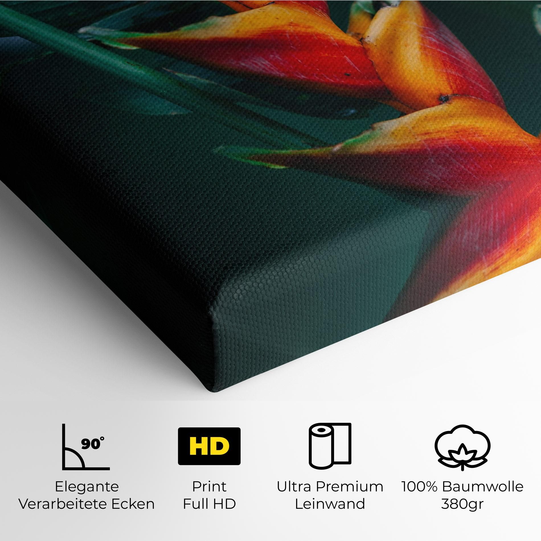 Red Orange Exotic mockup 4