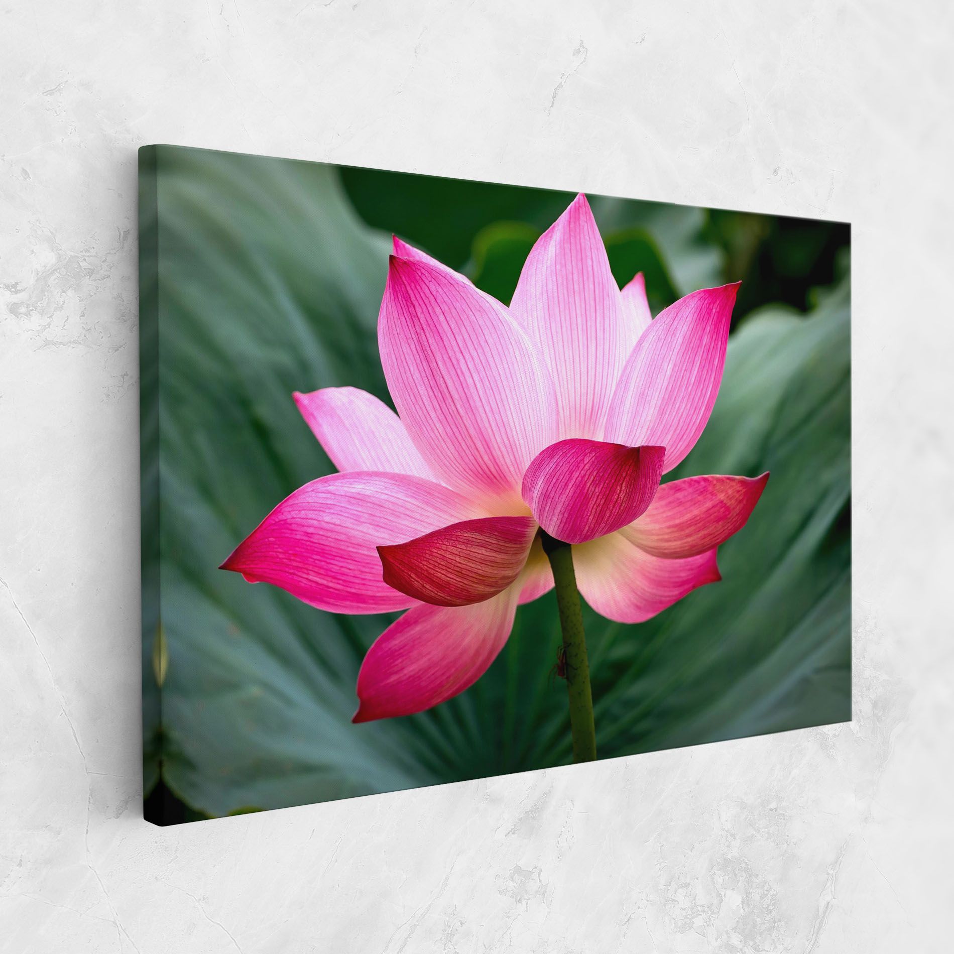Beautiful Pink Exotic mockup 1