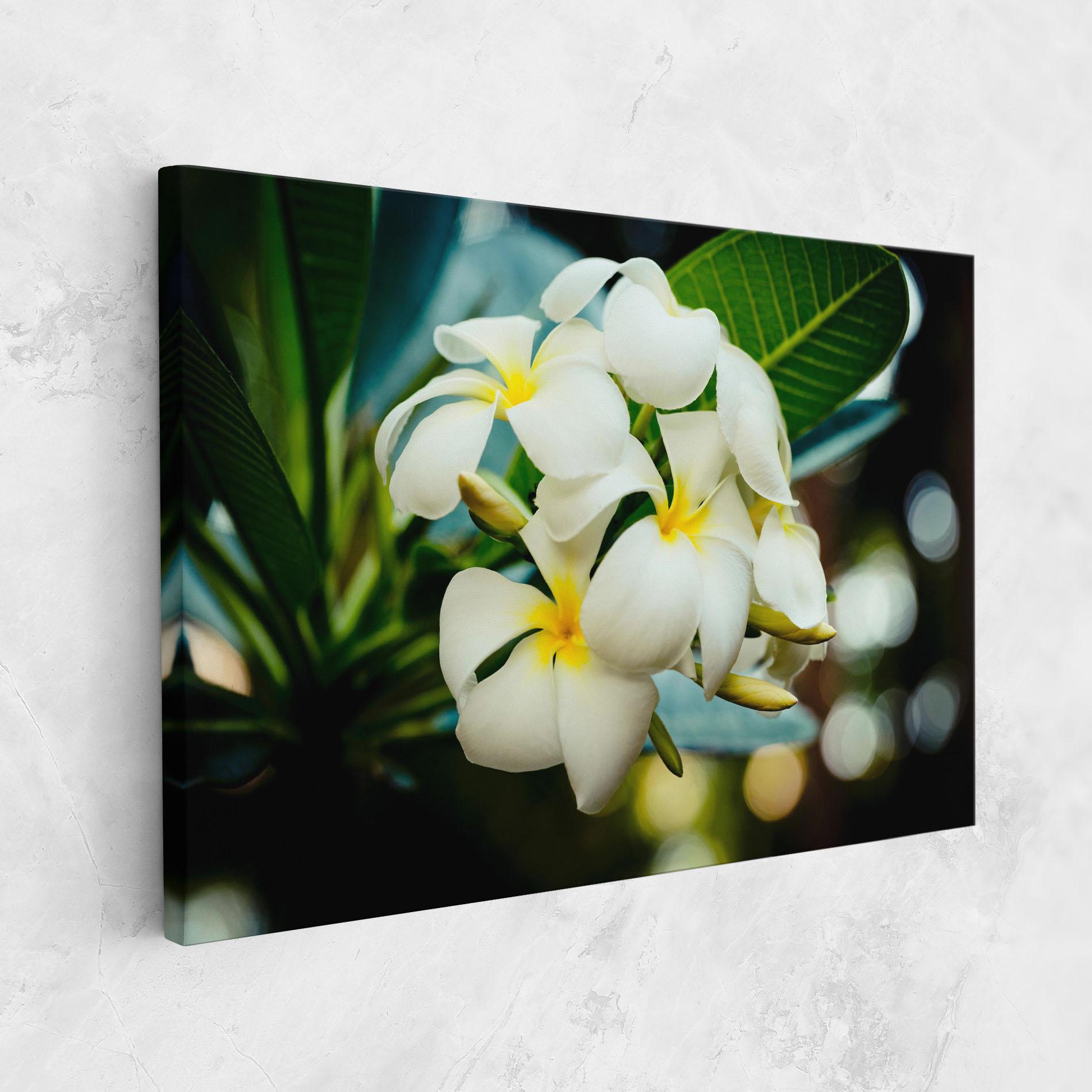 Leinwandbild Beautiful White Exotic mockup 1