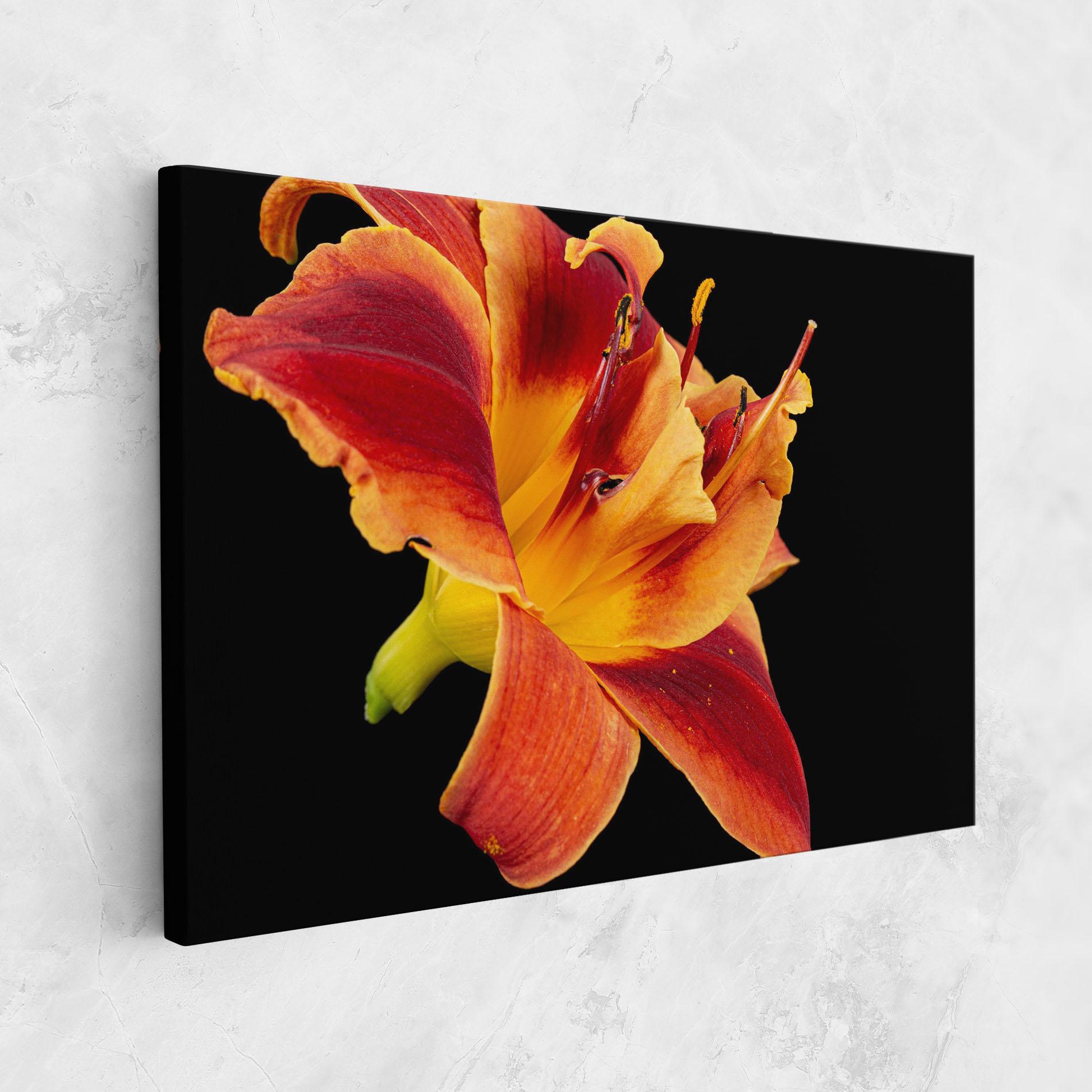 Leinwandbild Exotic Orange Red mockup 1