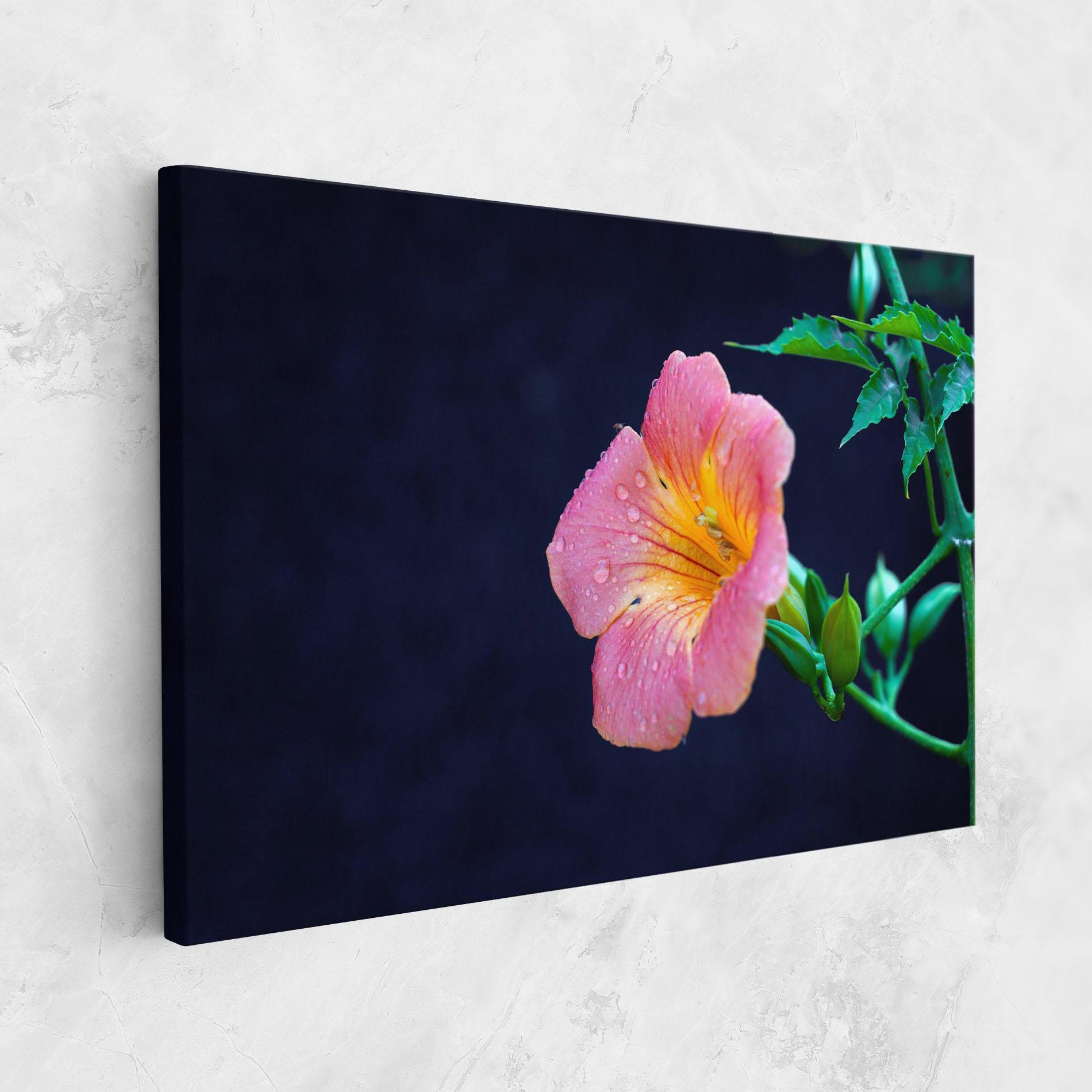 Leinwandbild Exotic Pink Plant mockup 1