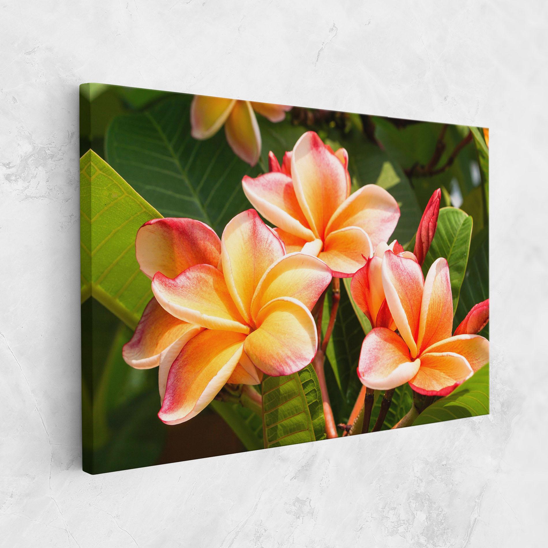 Leinwandbild Pretty Plumeria mockup 1