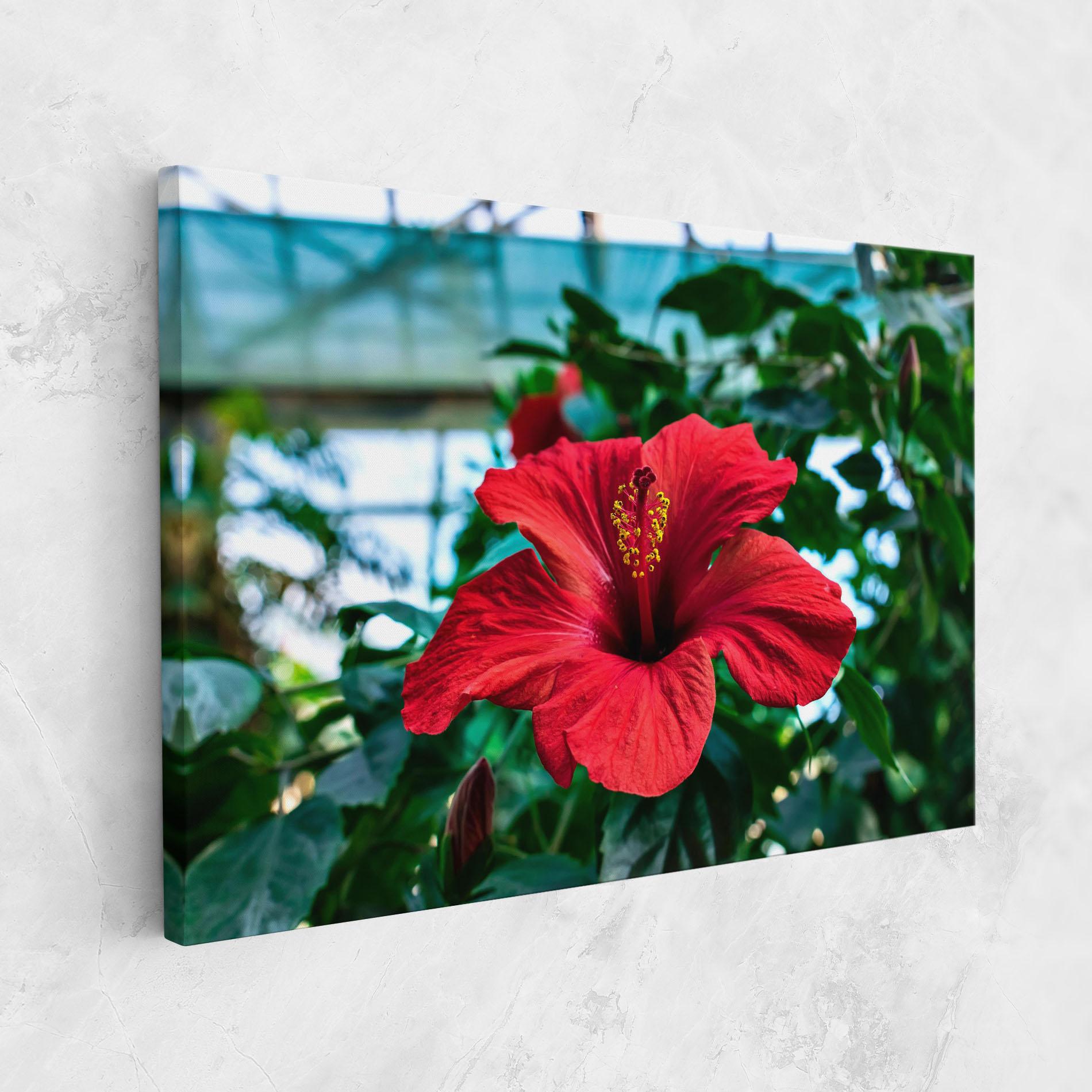Leinwandbild Red Exotic Plant mockup 1