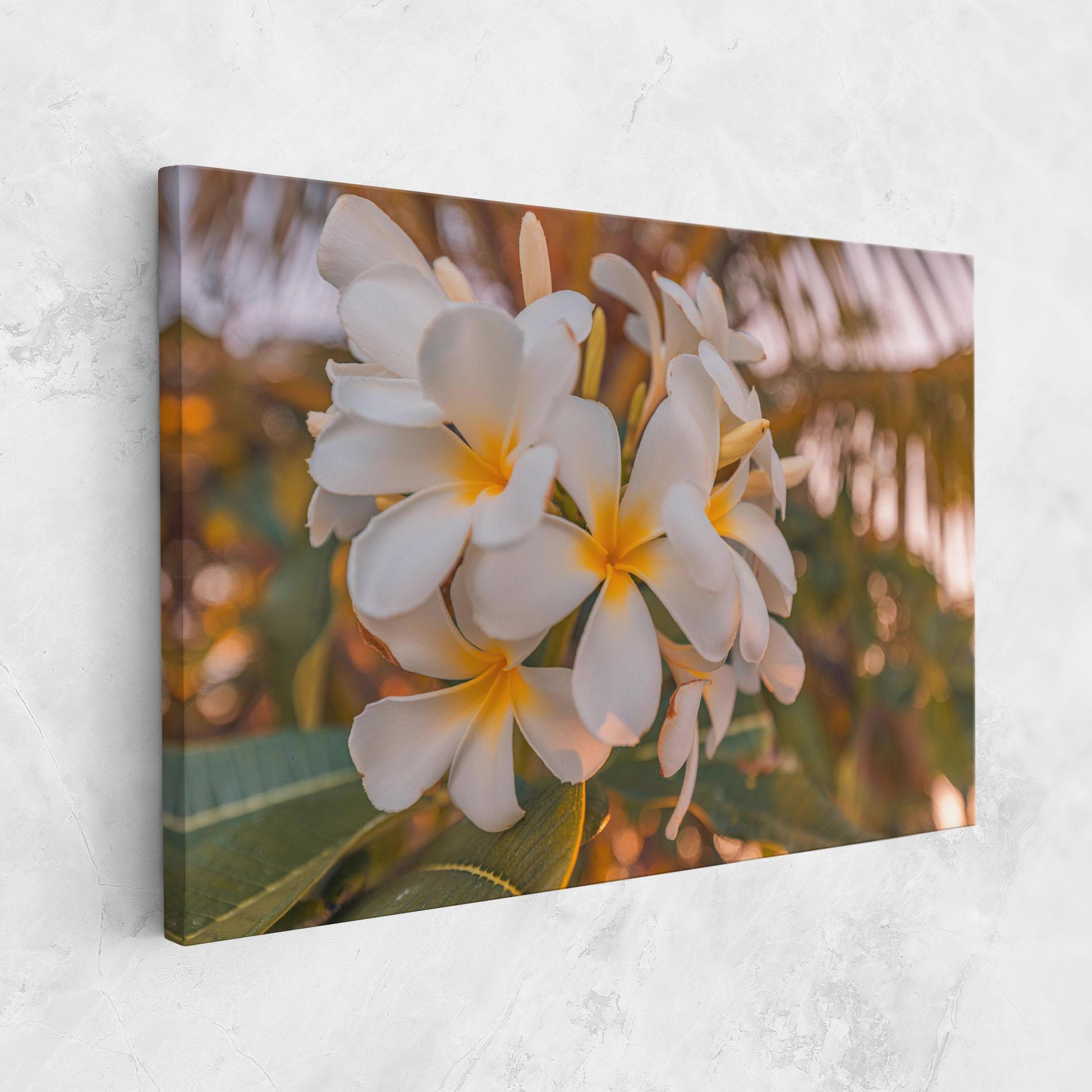 Leinwandbild White Plumeria mockup 1