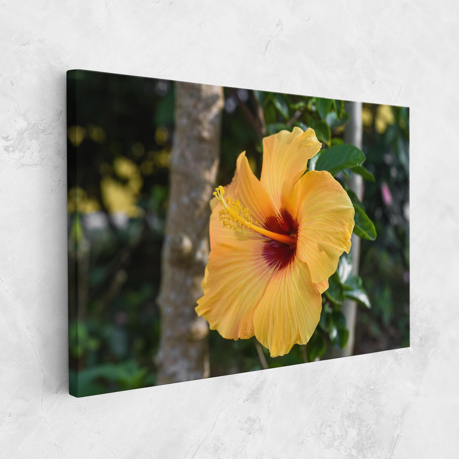 Leinwandbild Yellow Hibiscus mockup 1